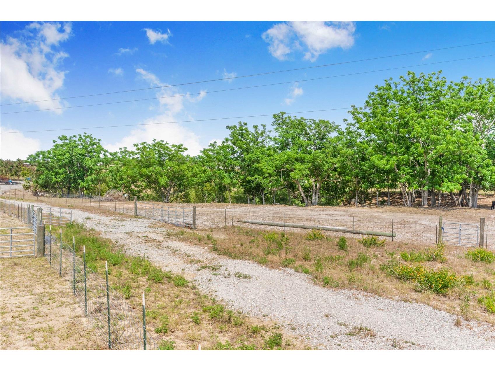 Lake Hatchineha Road Haines City FL 33844 O6403630 image4