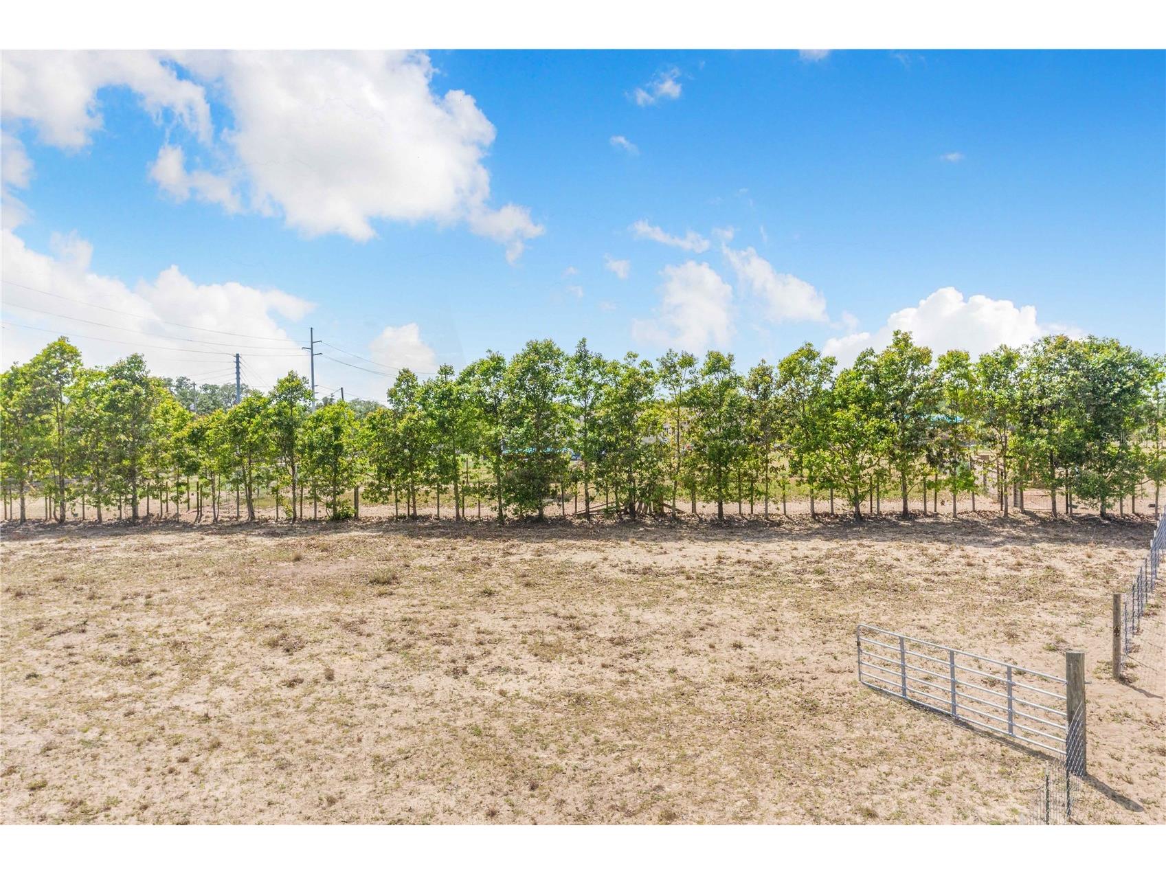 Lake Hatchineha Road Haines City FL 33844 O6403630 image6