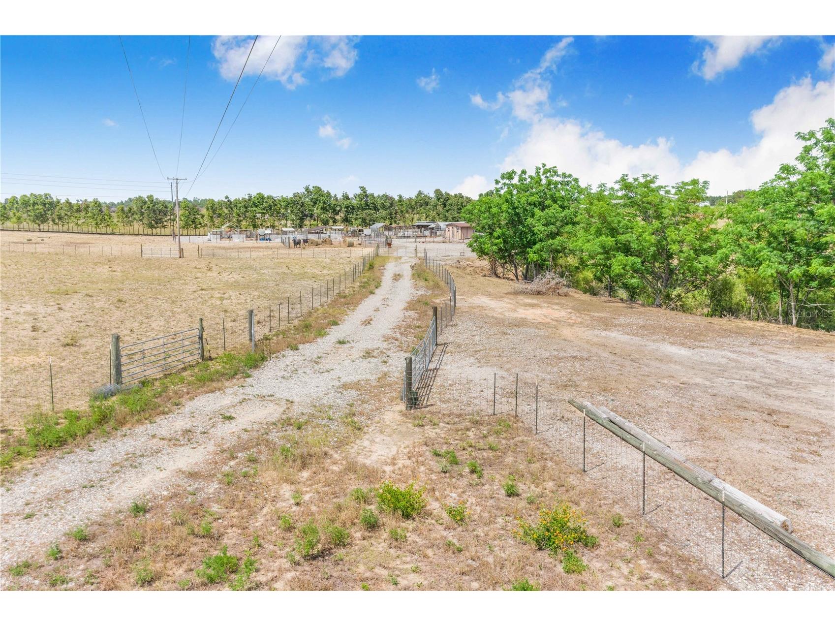 Lake Hatchineha Road Haines City FL 33844 O6403630 image7
