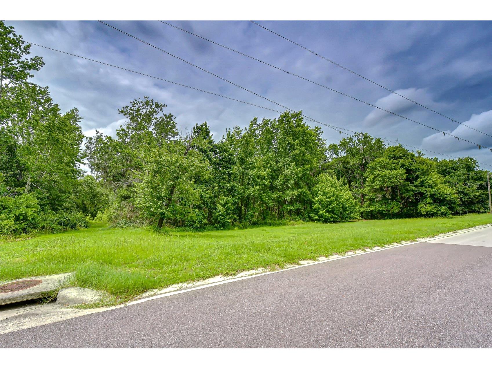 Lake Hills Drive Riverview FL 33569 - LAKE GRADY TB8514556 image6