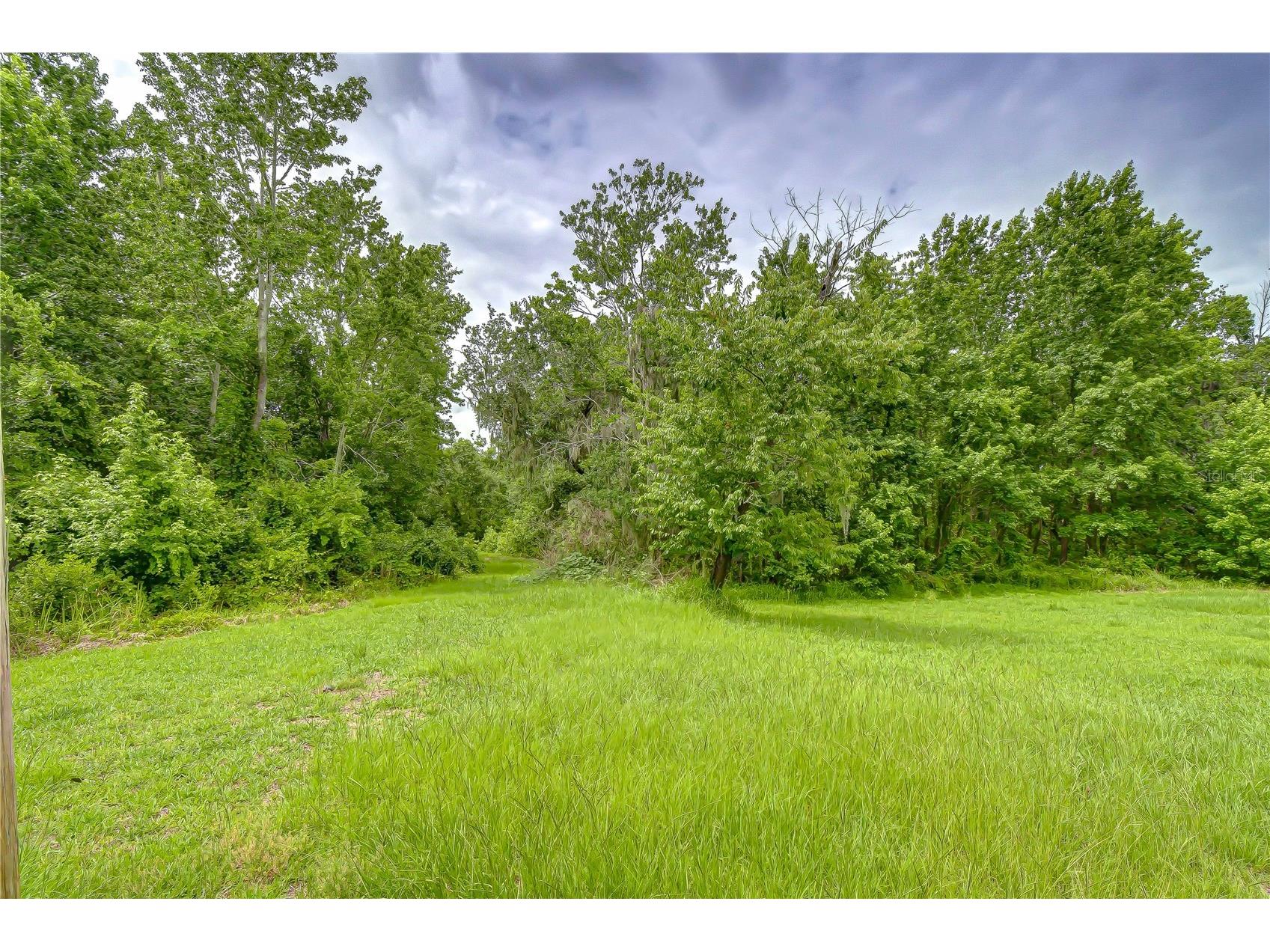 Lake Hills Drive Riverview FL 33569 - LAKE GRADY TB8514556 image7