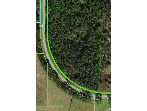 Lake Iola Dade City FL 33523 TB8410814 image1