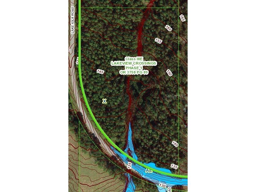 Lake Iola Dade City FL 33523 TB8410814 image2