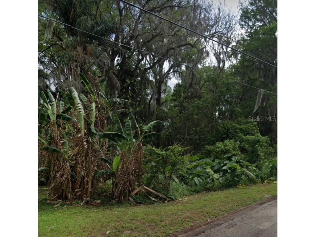 Lake Jem Road Mount Dora FL 32757 - Horseshoe Lake A4577731 image1