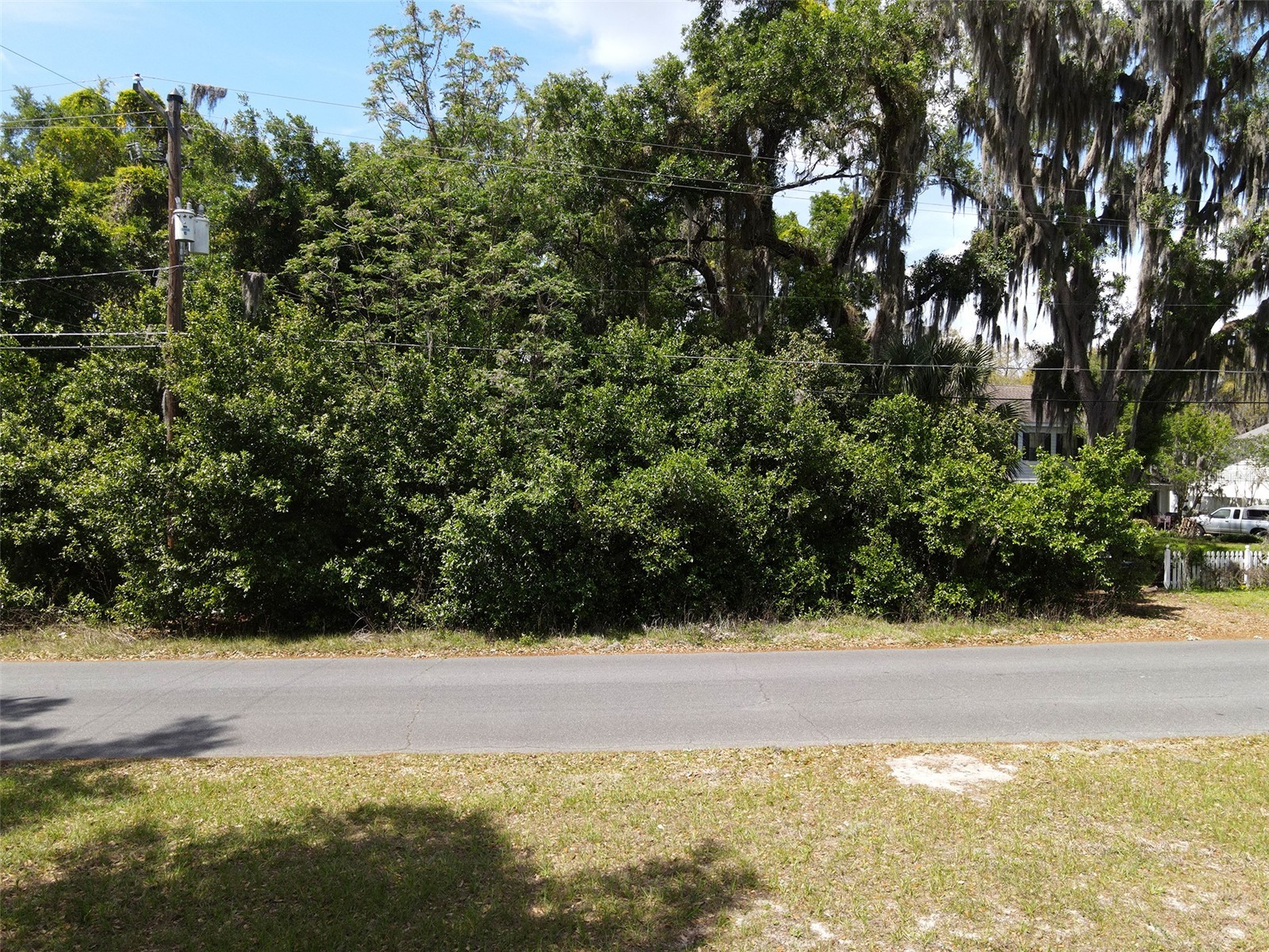Lake Joanna Drive Eustis FL 32726 V4948244 image1
