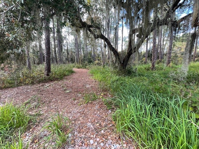 Lake Kotsa Drive Lake Wales FL 33898 - Tiger Lake K4902375 image1