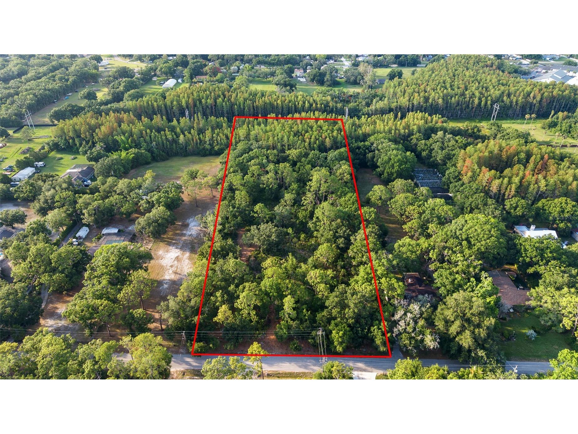Lake Le Clare Road Lutz FL 33558 TB8519927 image1