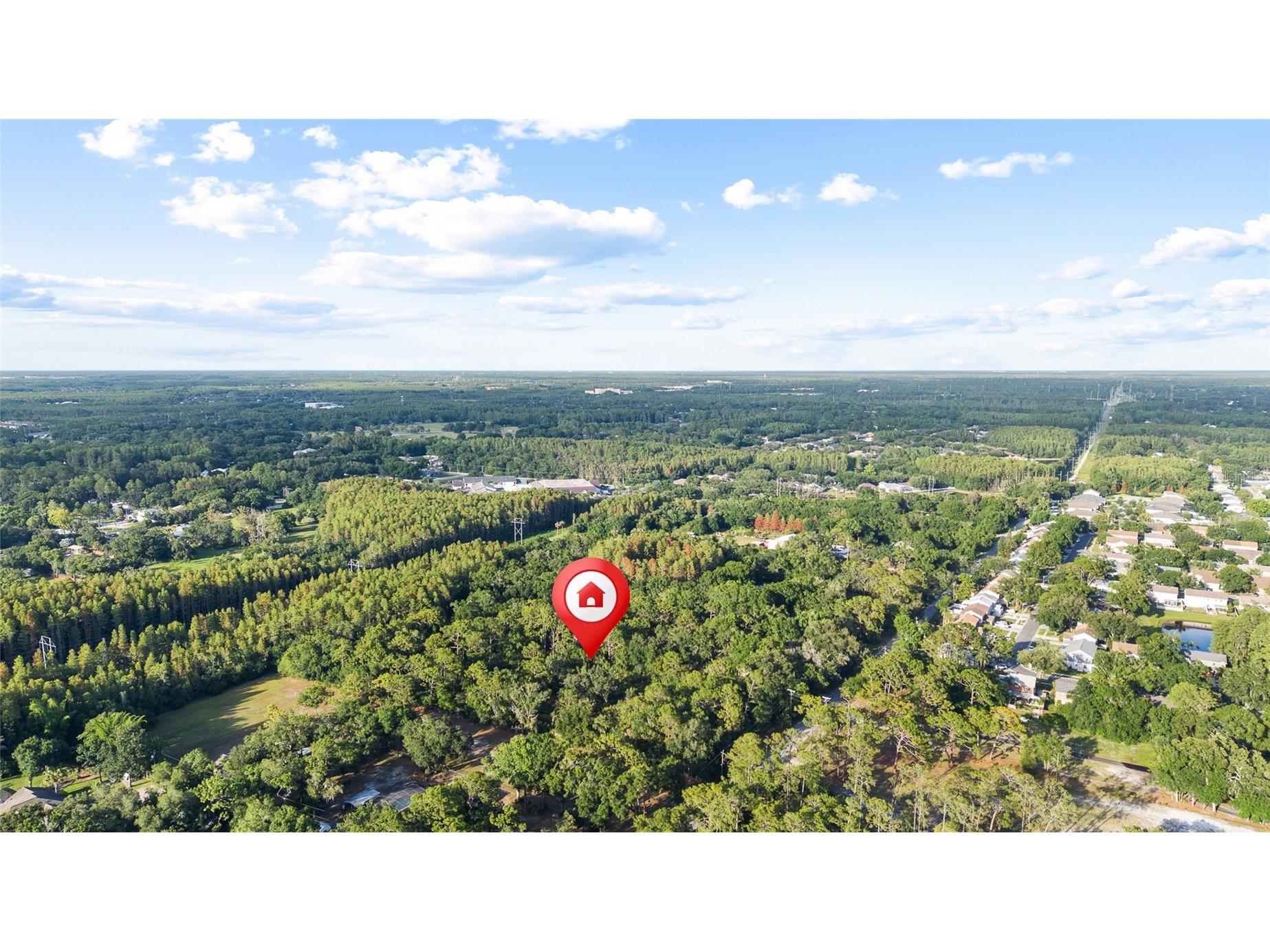 Lake Le Clare Road Lutz FL 33558 TB8519927 image10