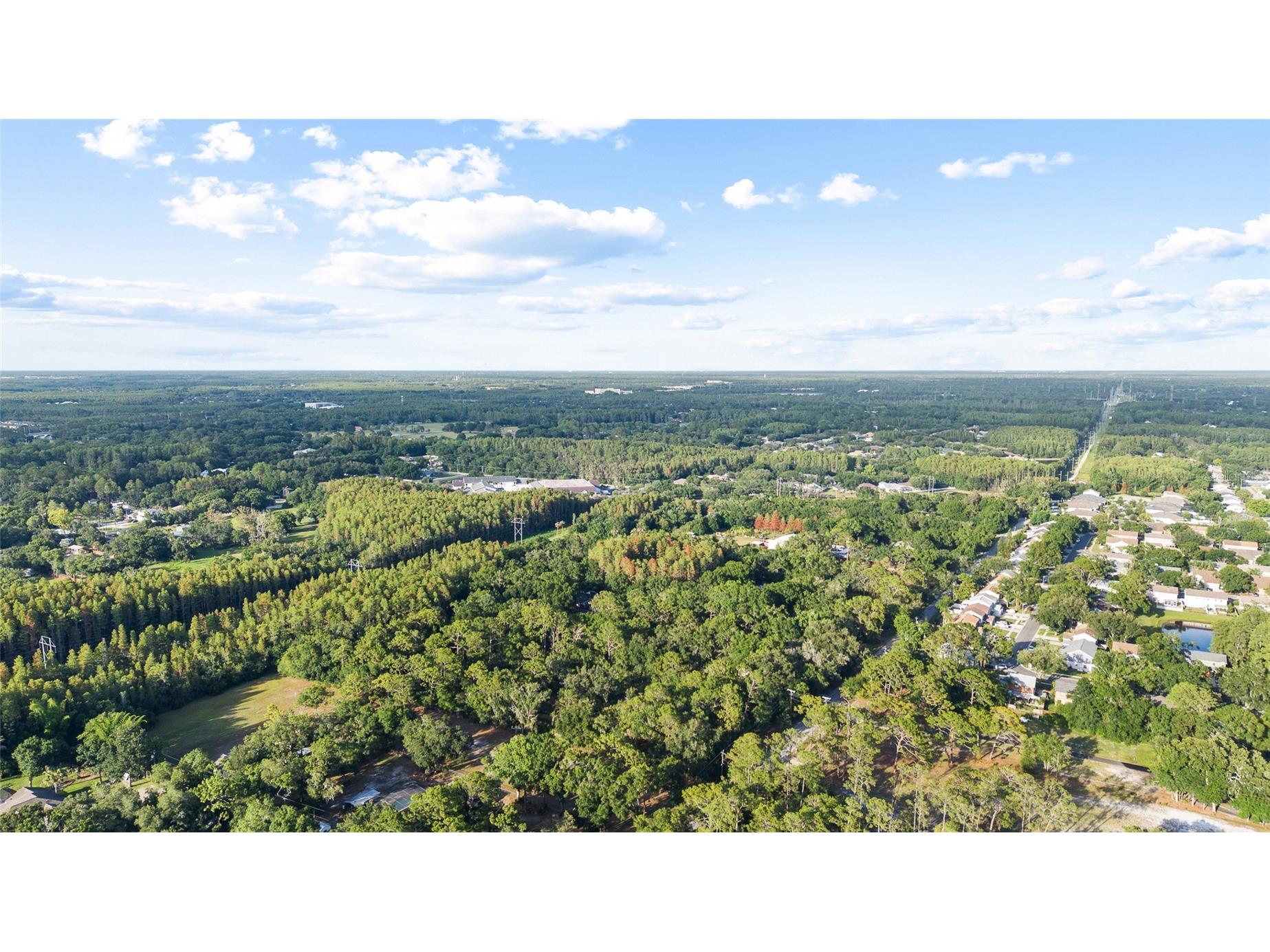 Lake Le Clare Road Lutz FL 33558 TB8519927 image11