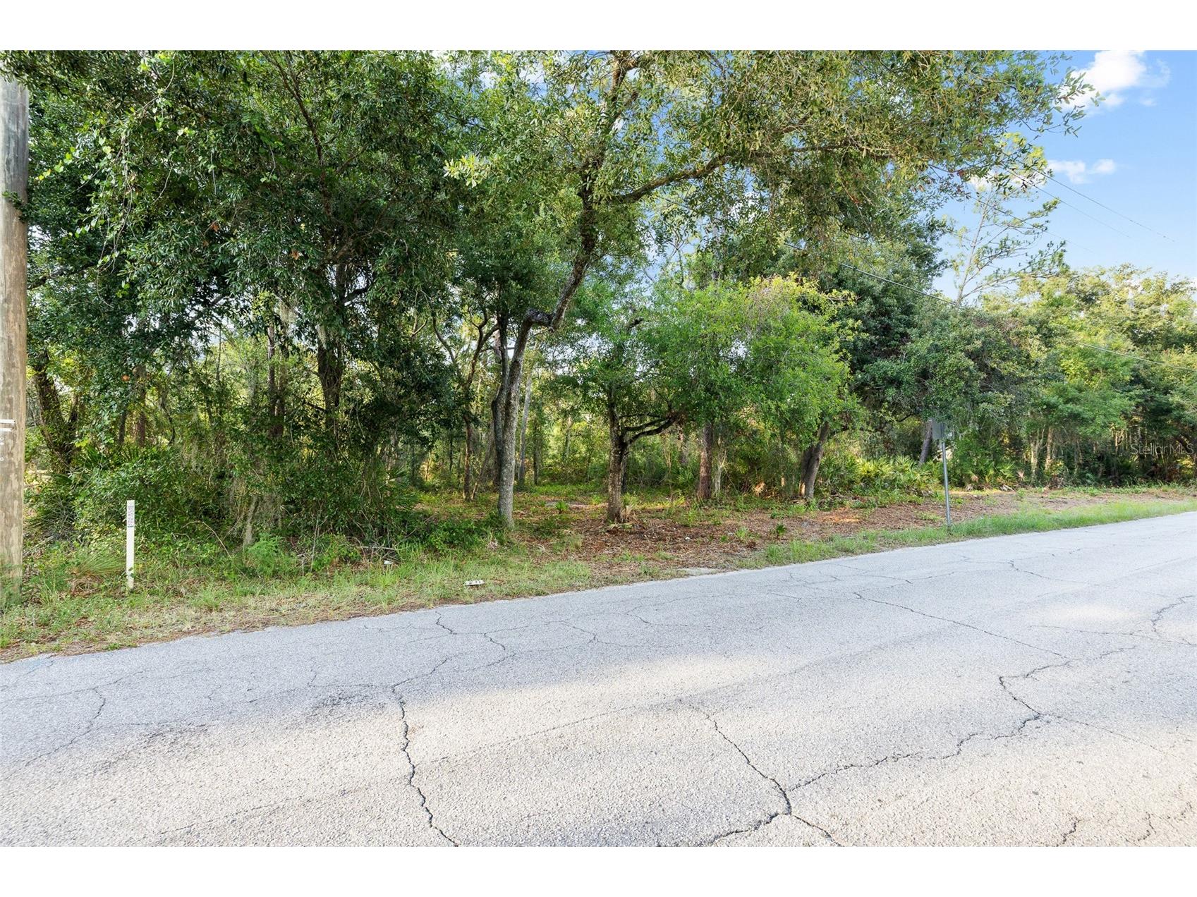 Lake Le Clare Road Lutz FL 33558 TB8519927 image13