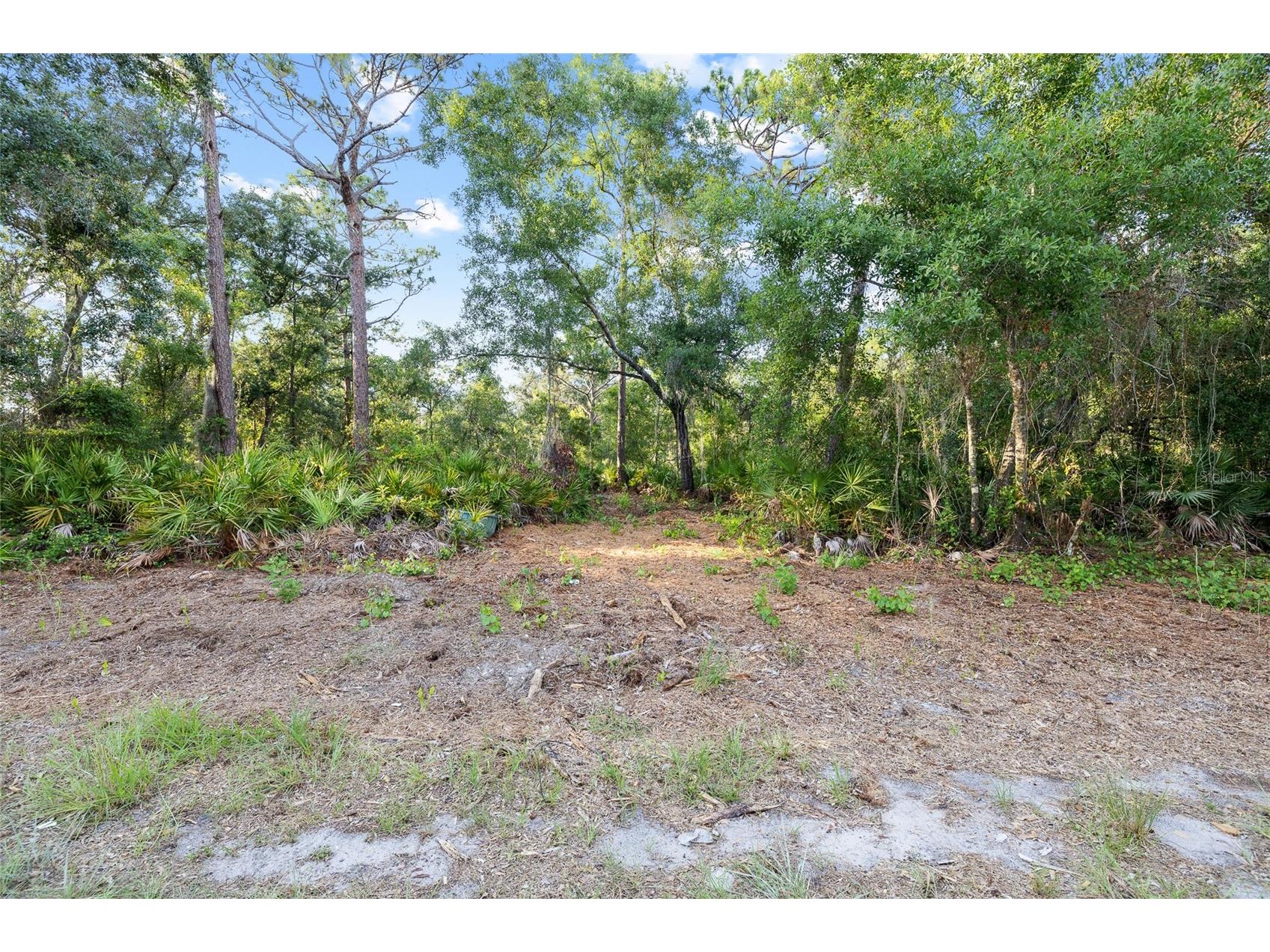 Lake Le Clare Road Lutz FL 33558 TB8519927 image14