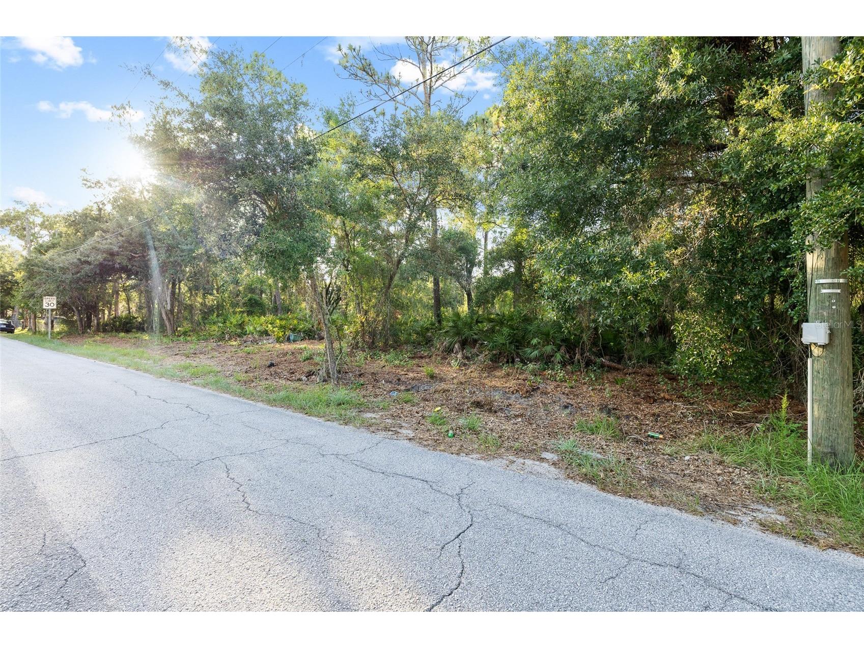 Lake Le Clare Road Lutz FL 33558 TB8519927 image15