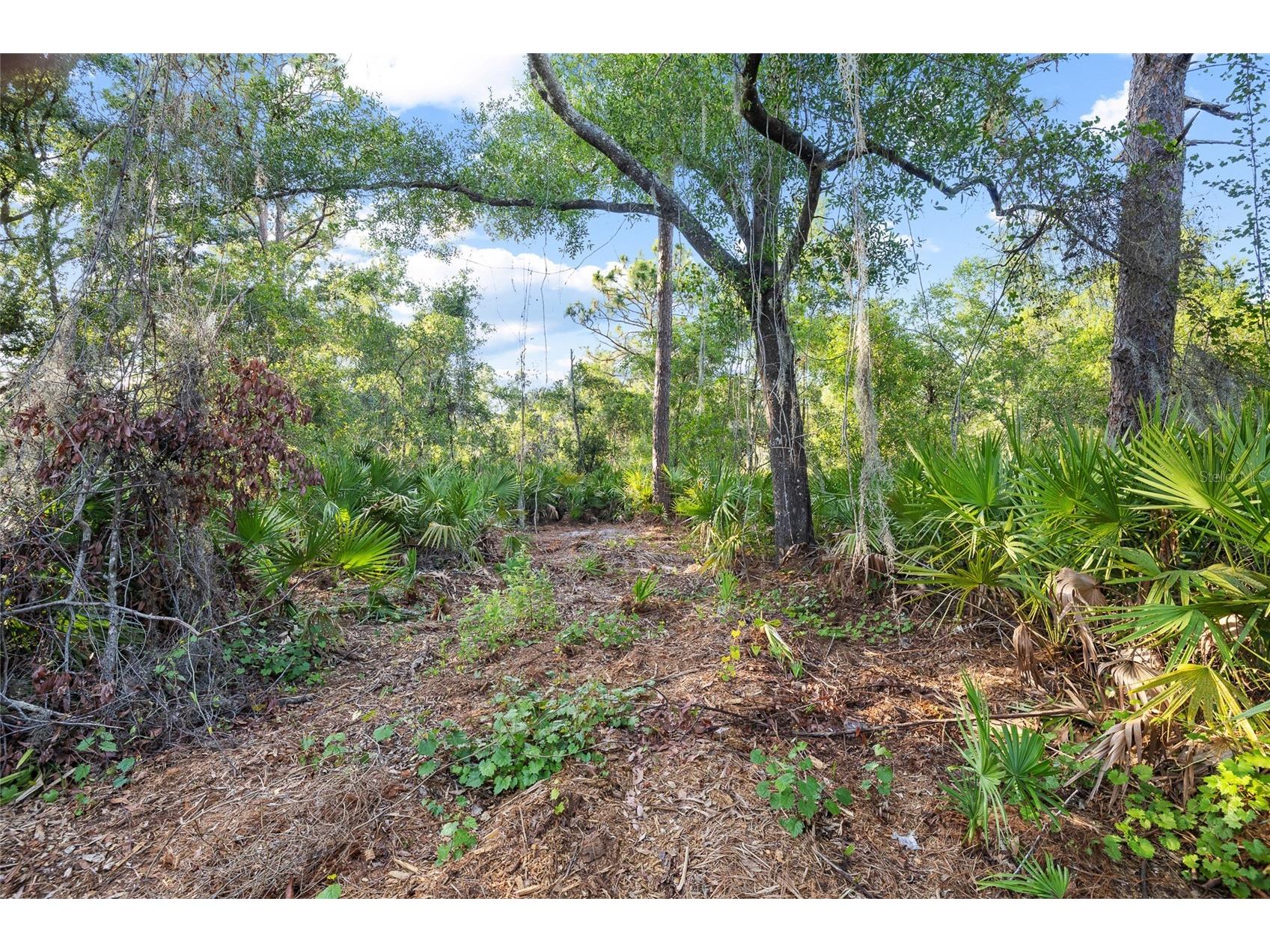 Lake Le Clare Road Lutz FL 33558 TB8519927 image16