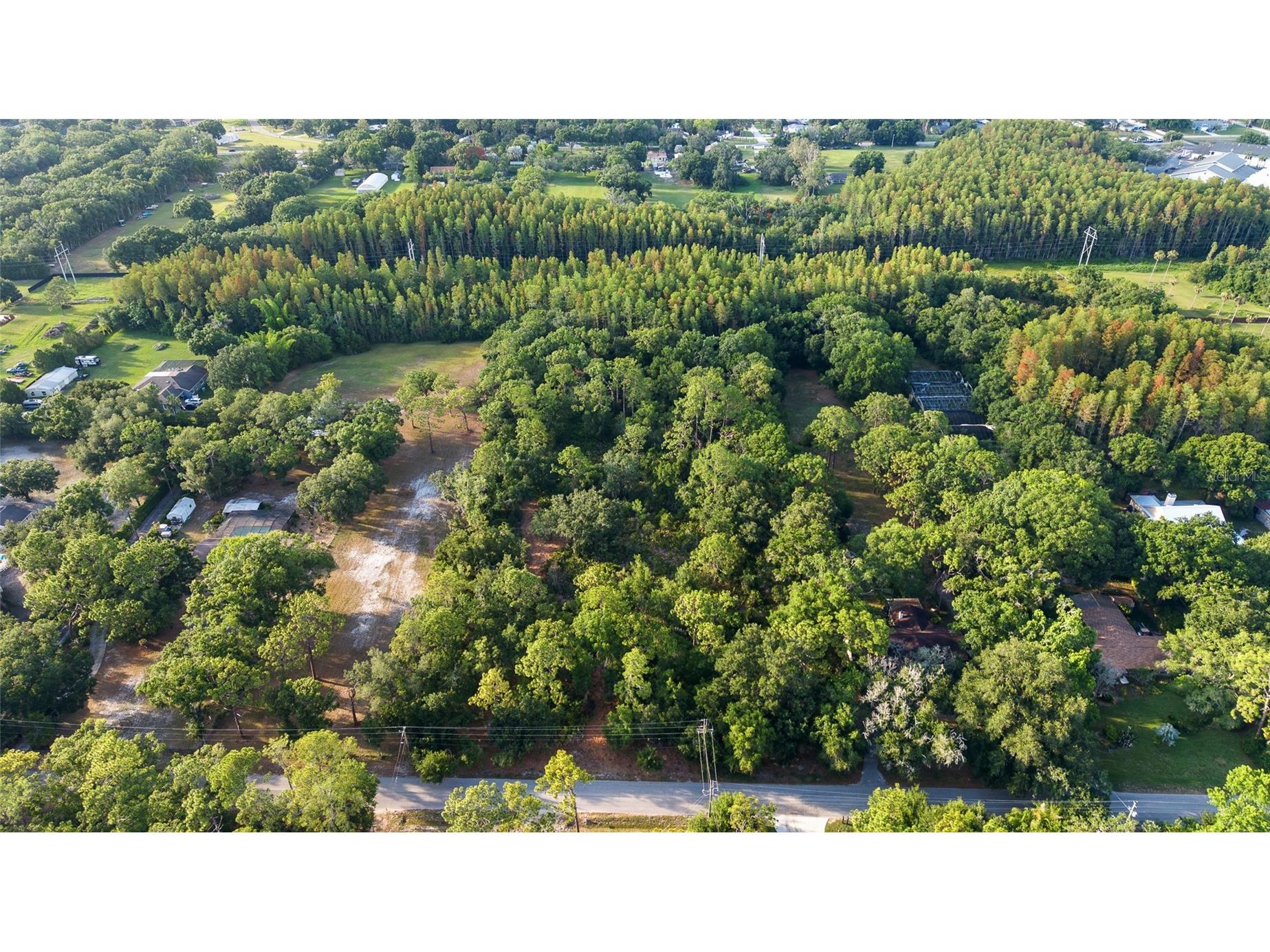 Lake Le Clare Road Lutz FL 33558 TB8519927 image2