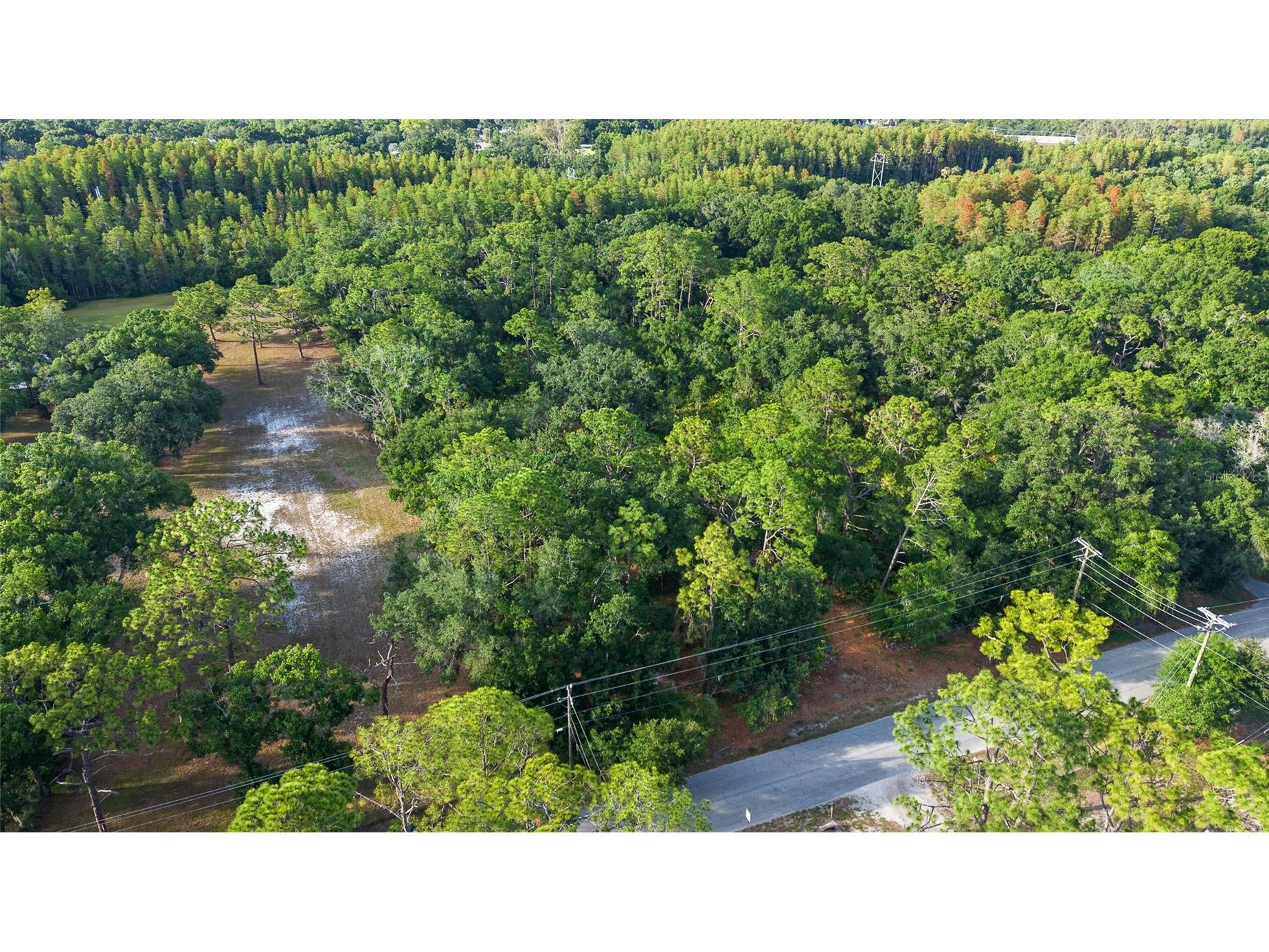 Lake Le Clare Road Lutz FL 33558 TB8519927 image3