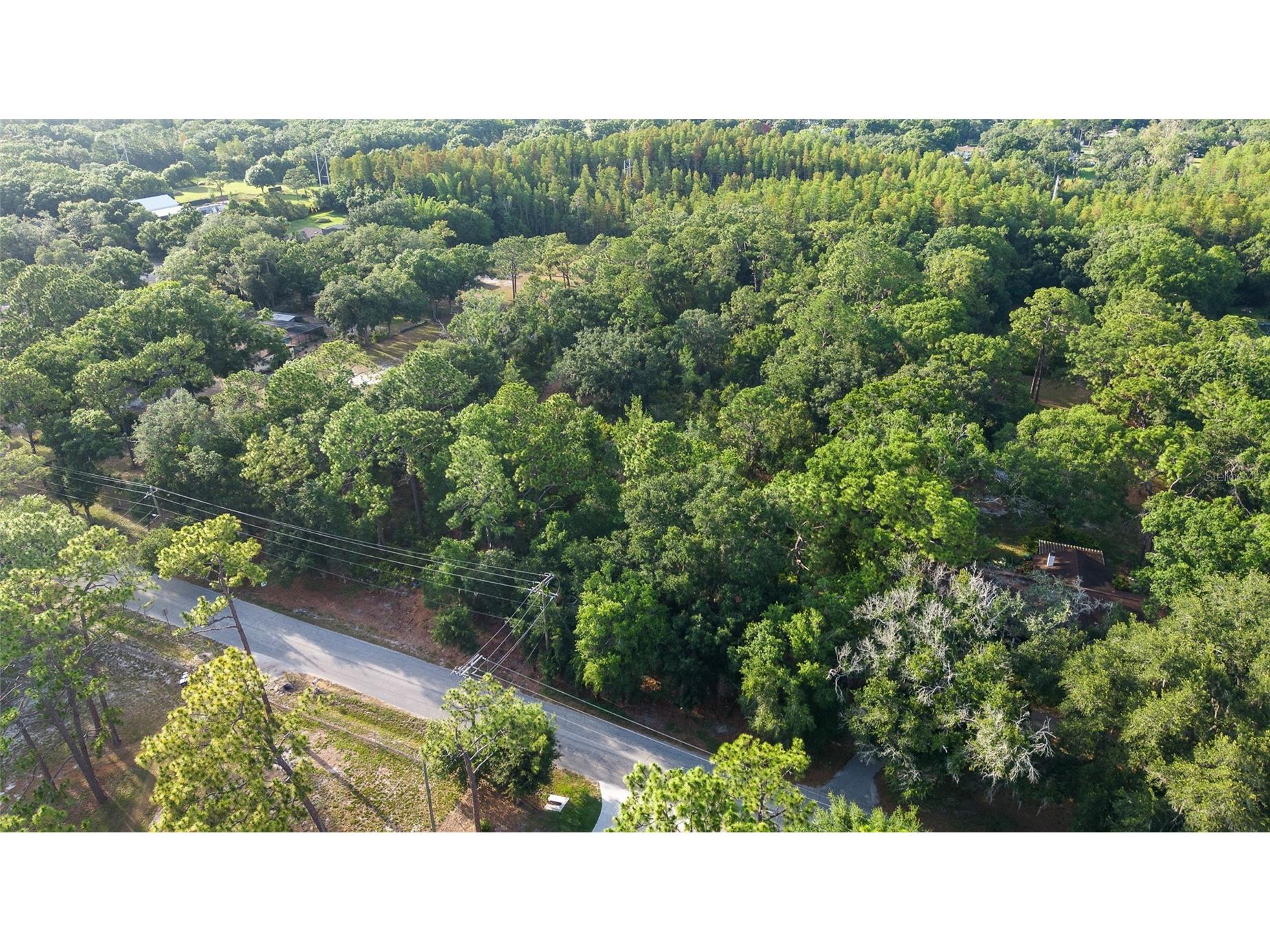 Lake Le Clare Road Lutz FL 33558 TB8519927 image4