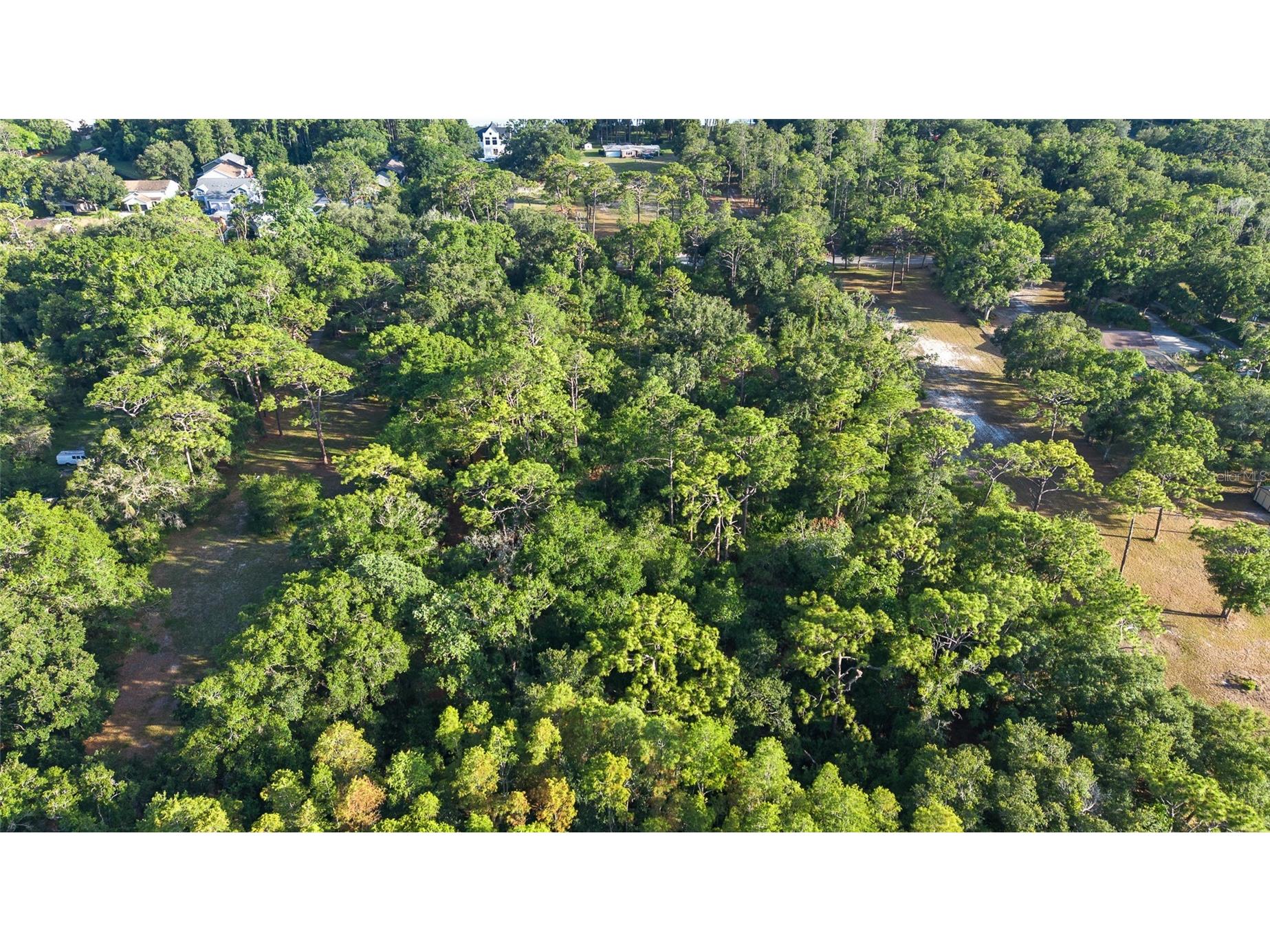 Lake Le Clare Road Lutz FL 33558 TB8519927 image5