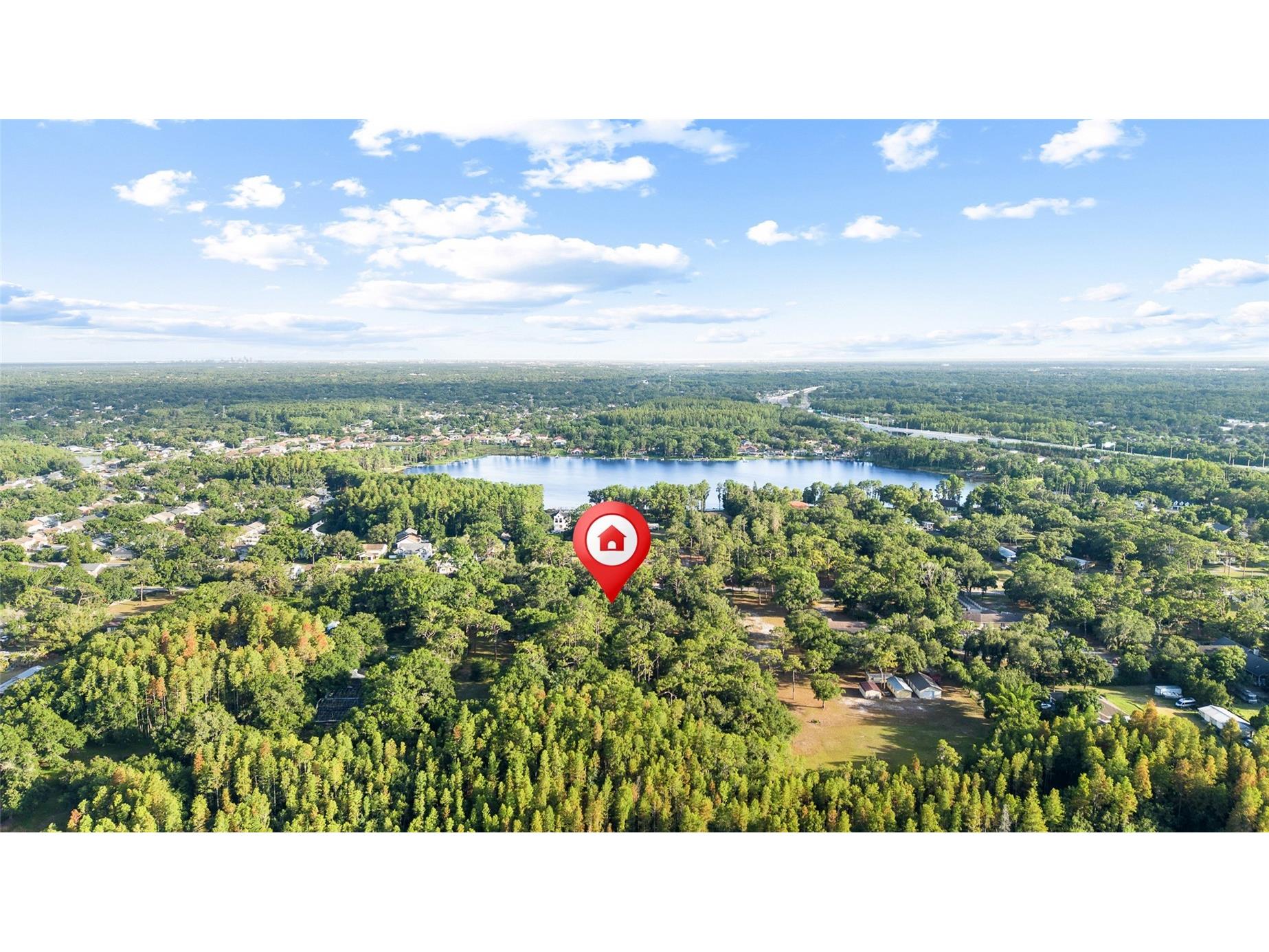 Lake Le Clare Road Lutz FL 33558 TB8519927 image6
