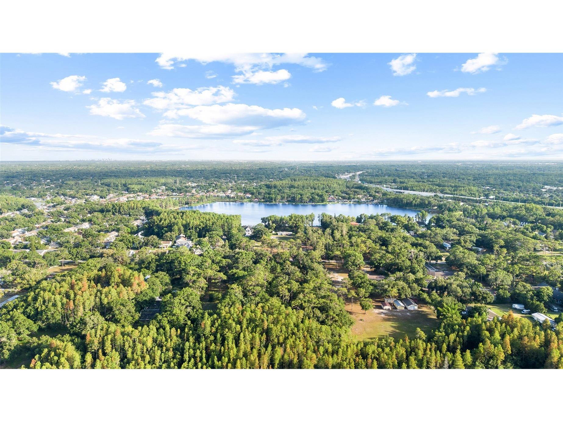 Lake Le Clare Road Lutz FL 33558 TB8519927 image7