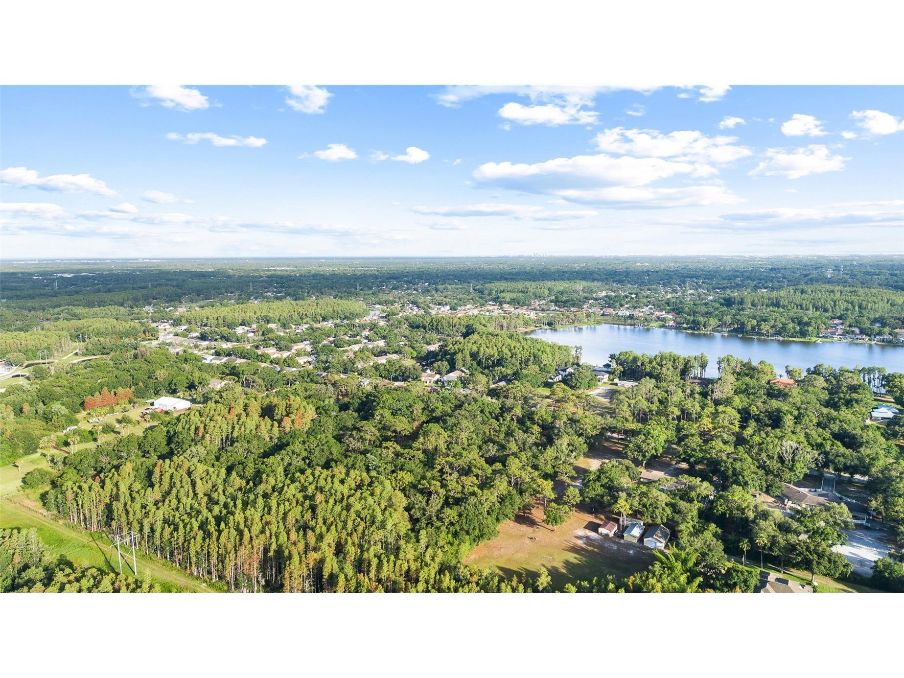 Lake Le Clare Road Lutz FL 33558 TB8519927 image9