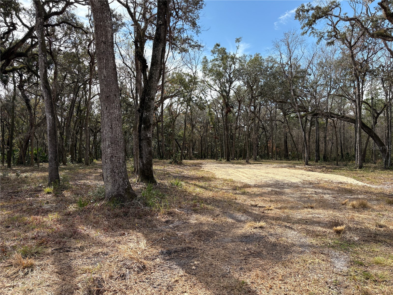Lake Lindsey Road Brooksville FL 34601 TB8351684 image10