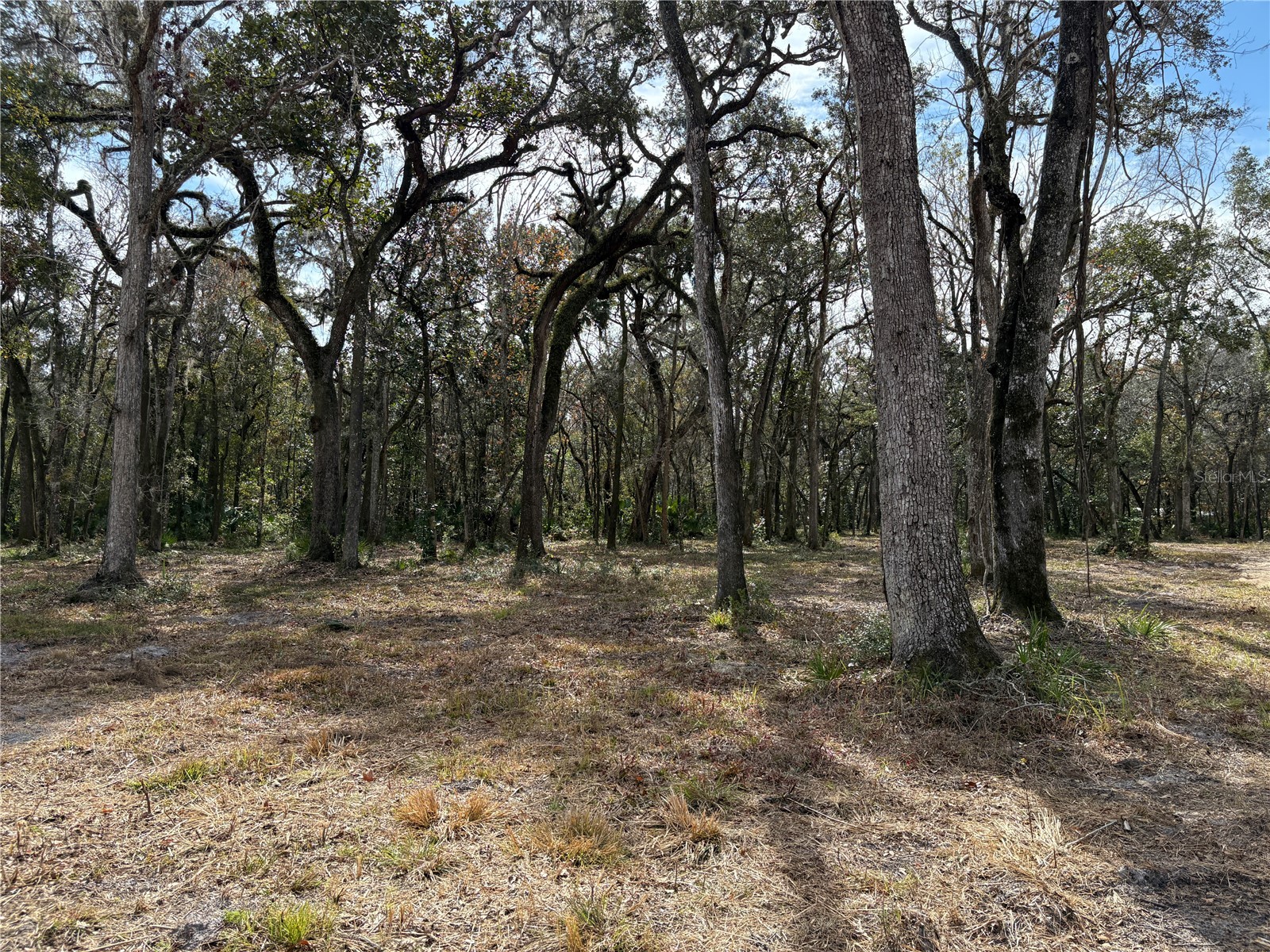 Lake Lindsey Road Brooksville FL 34601 TB8351684 image11