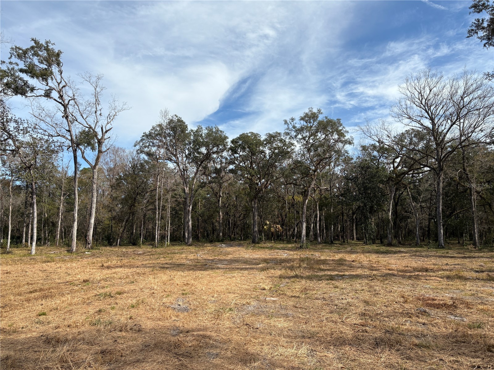 Lake Lindsey Road Brooksville FL 34601 TB8351684 image15