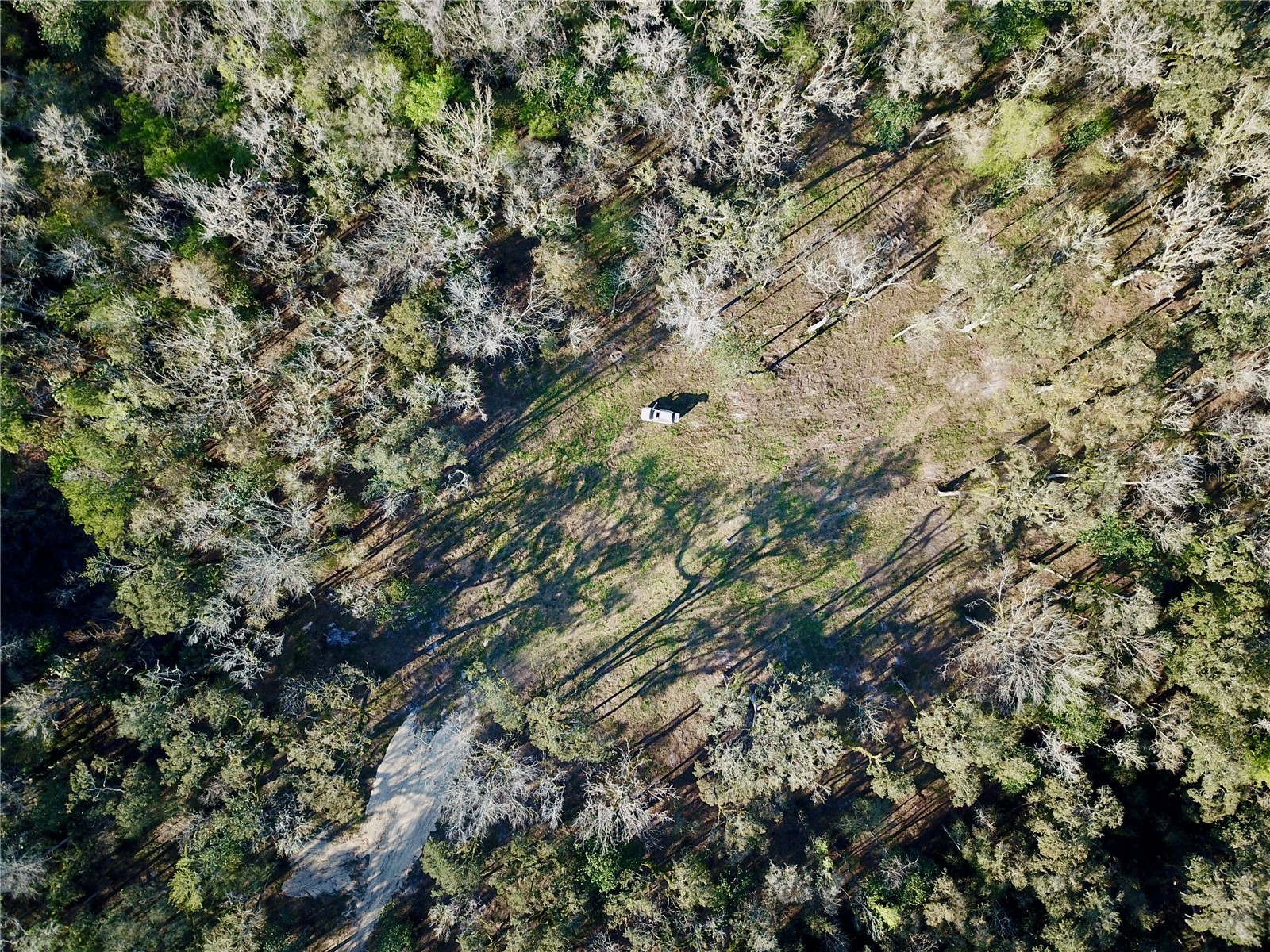 Lake Lindsey Road Brooksville FL 34601 TB8351684 image20