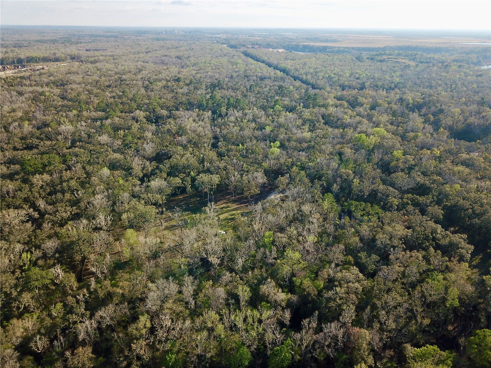 Lake Lindsey Road Brooksville FL 34601 TB8351684 image21