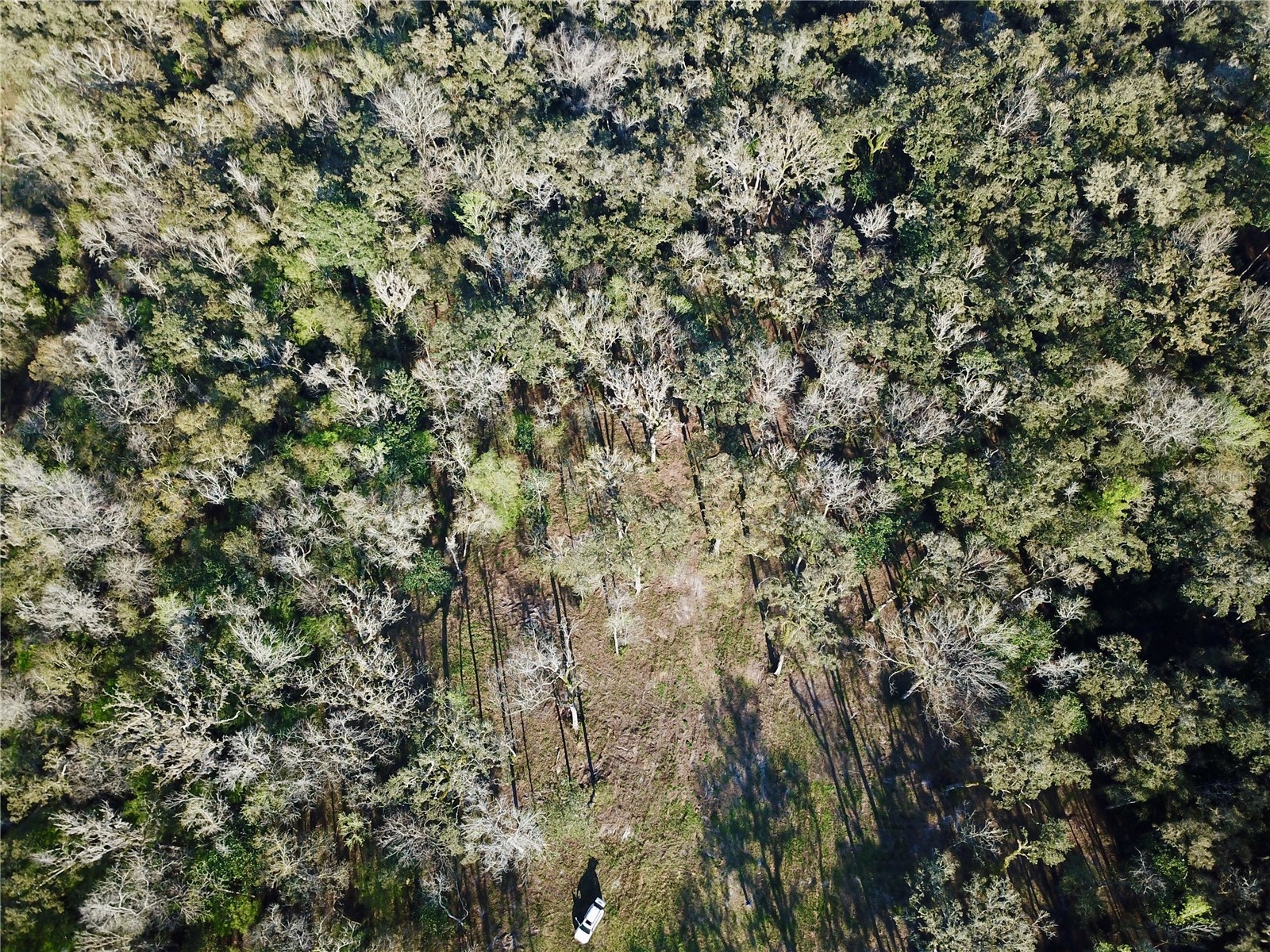 Lake Lindsey Road Brooksville FL 34601 TB8351684 image22