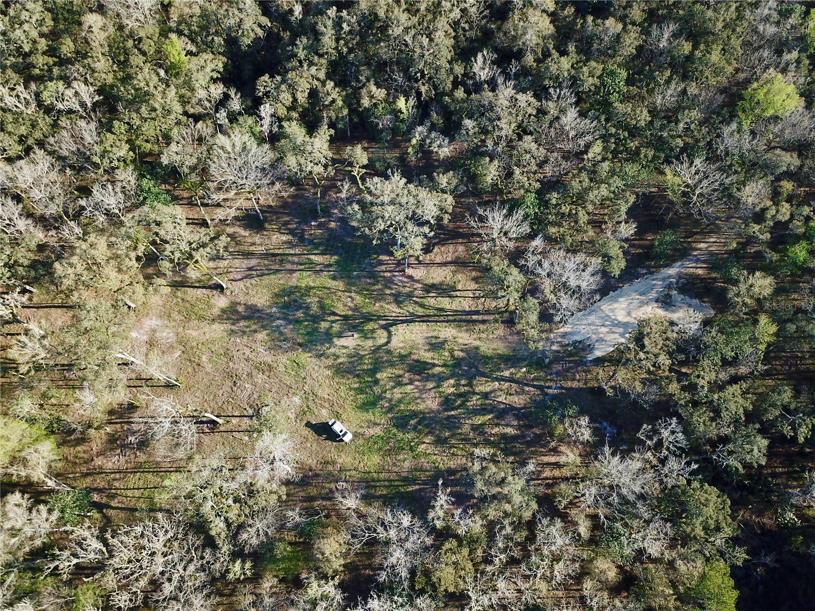 Lake Lindsey Road Brooksville FL 34601 TB8351684 image23