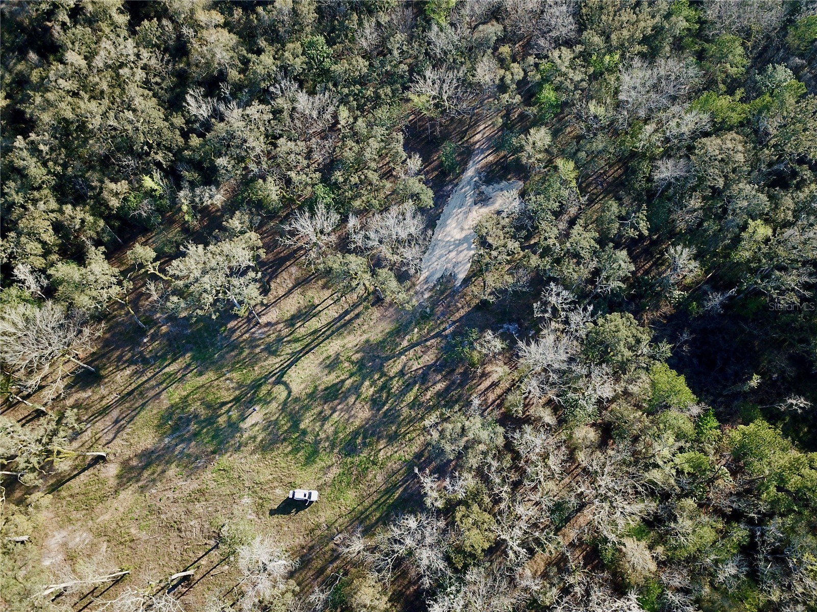 Lake Lindsey Road Brooksville FL 34601 TB8351684 image24