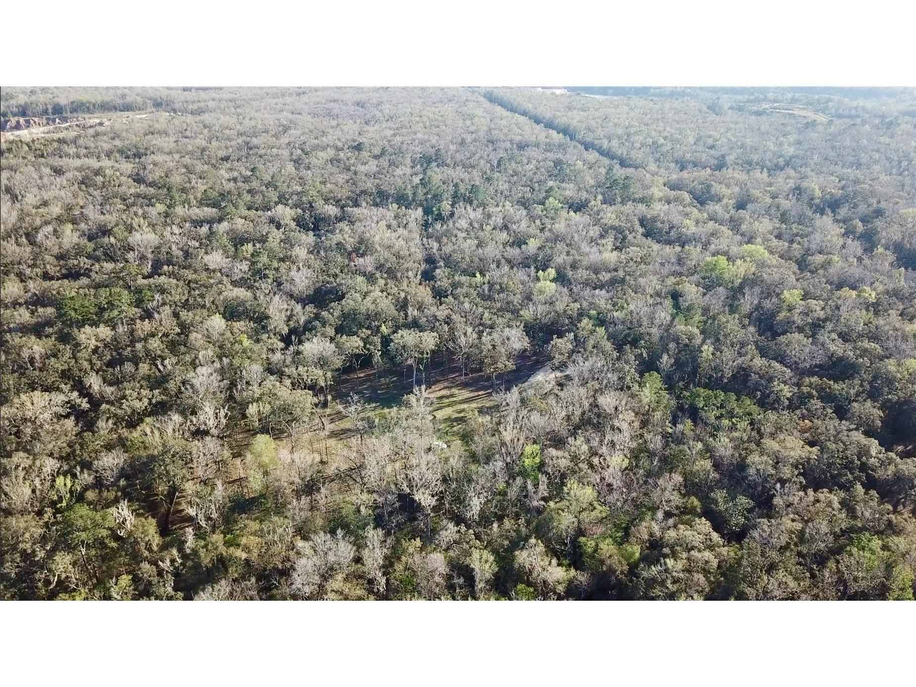 Lake Lindsey Road Brooksville FL 34601 TB8351684 image25