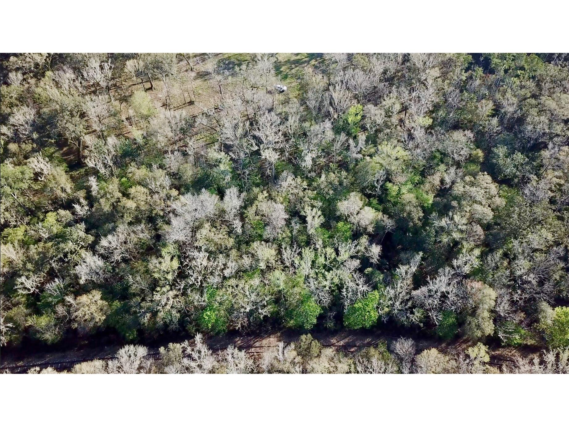 Lake Lindsey Road Brooksville FL 34601 TB8351684 image26