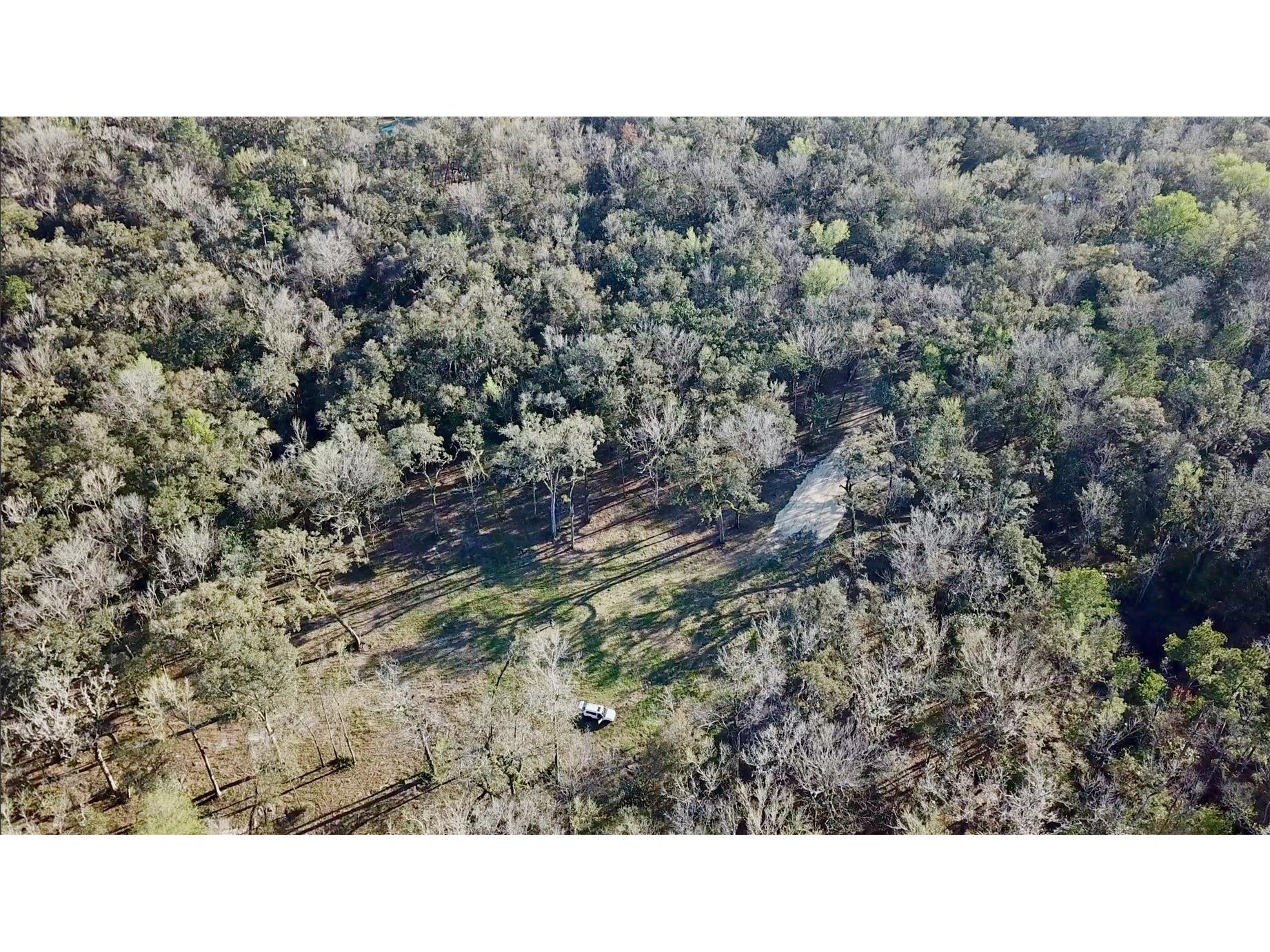 Lake Lindsey Road Brooksville FL 34601 TB8351684 image27