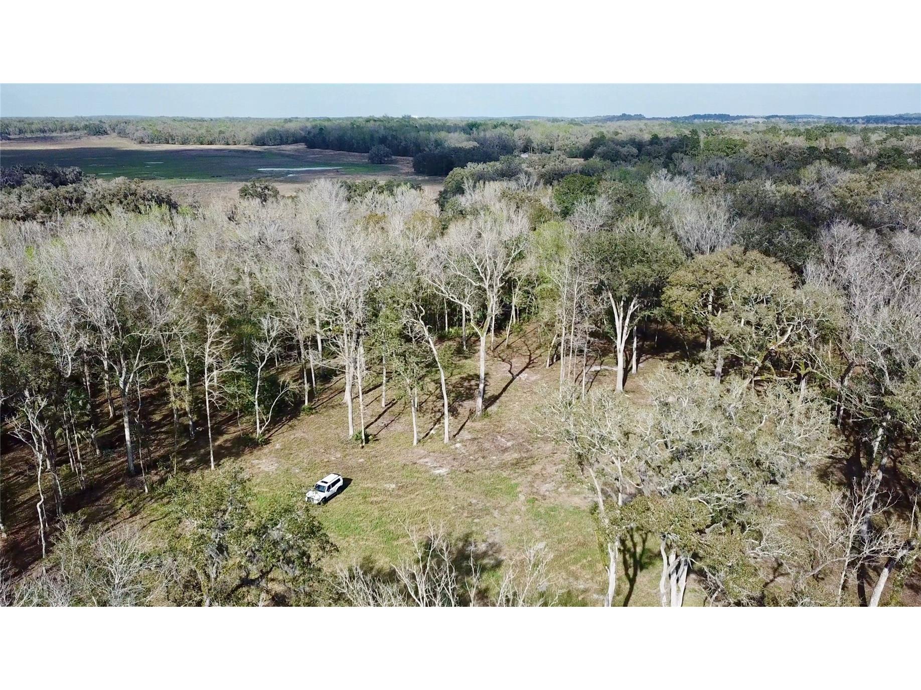 Lake Lindsey Road Brooksville FL 34601 TB8351684 image29