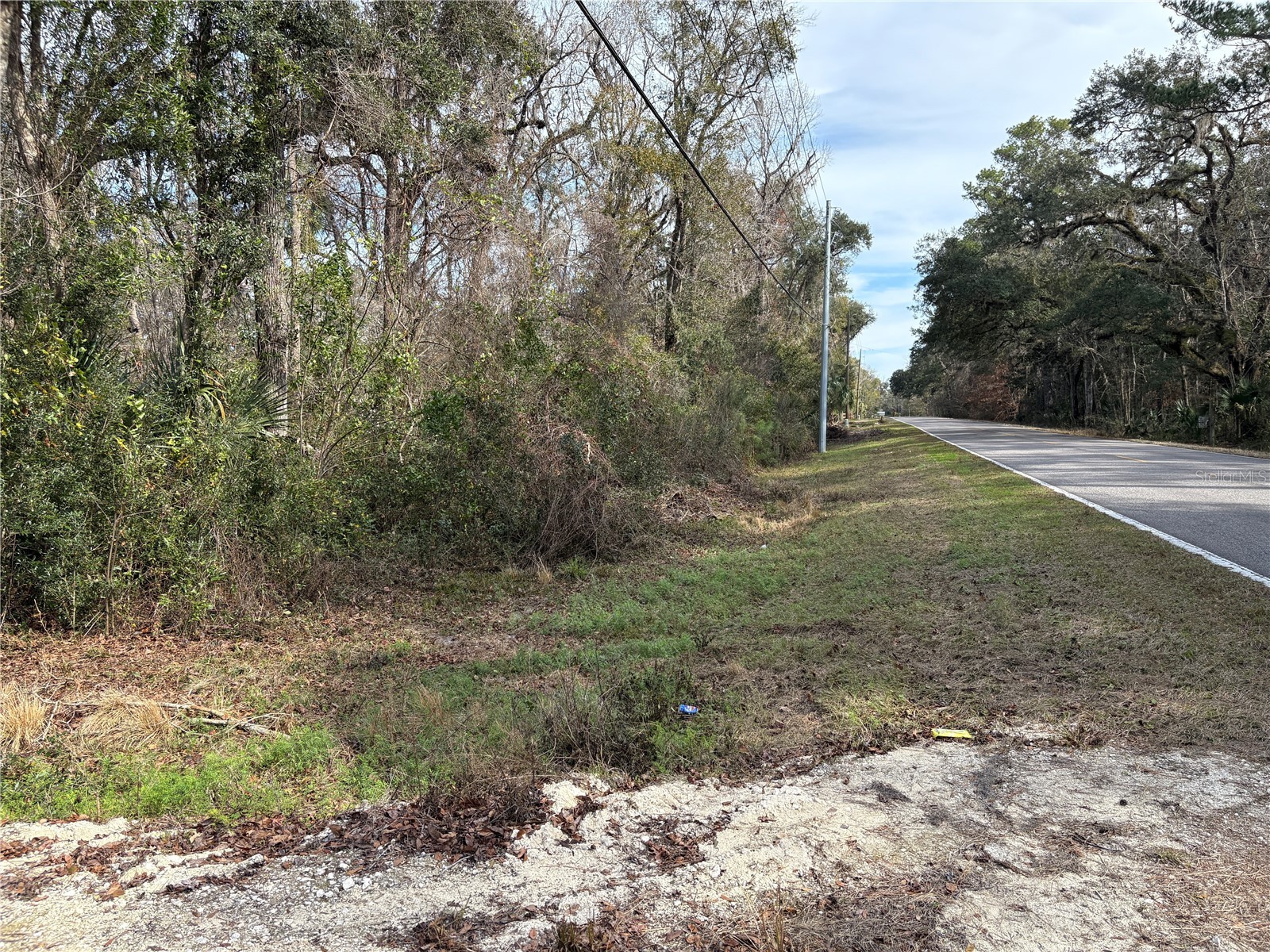 Lake Lindsey Road Brooksville FL 34601 TB8351684 image3