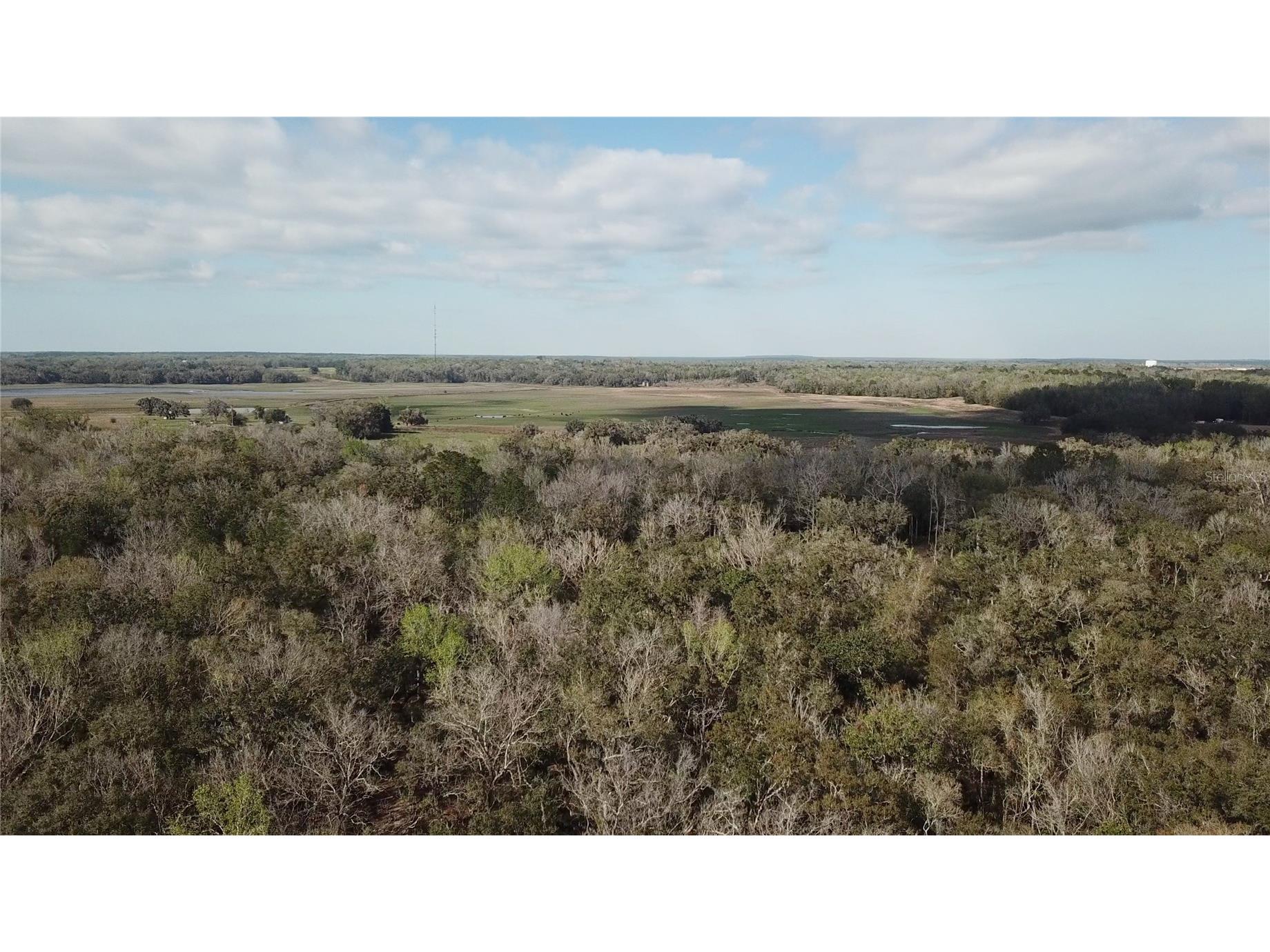 Lake Lindsey Road Brooksville FL 34601 TB8351684 image30