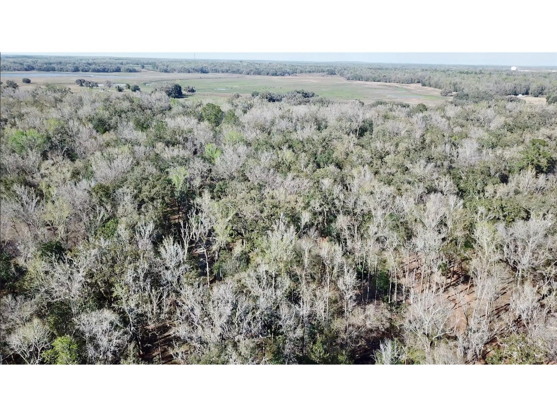 Lake Lindsey Road Brooksville FL 34601 TB8351684 image32