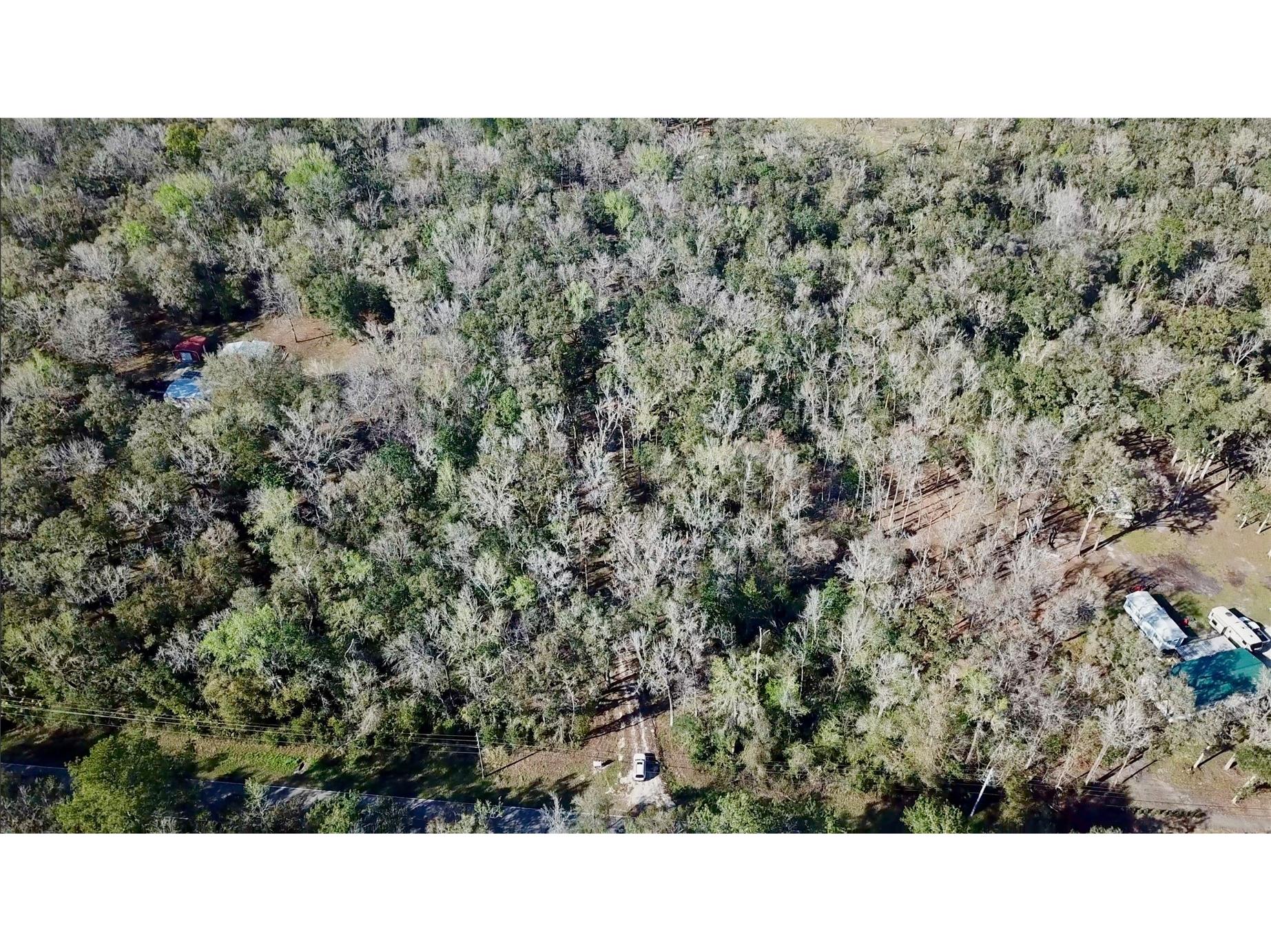 Lake Lindsey Road Brooksville FL 34601 TB8351684 image34