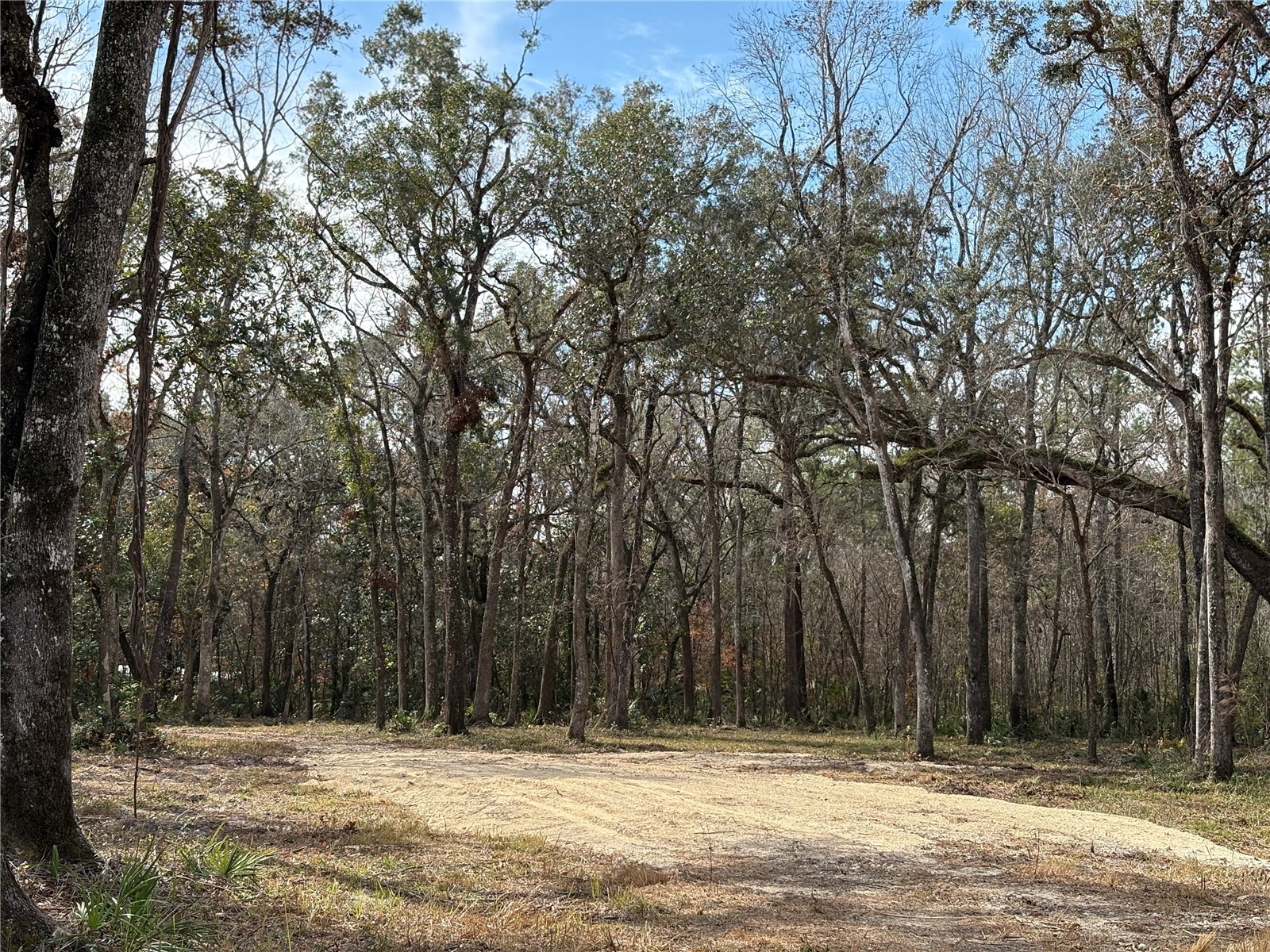 Lake Lindsey Road Brooksville FL 34601 TB8351684 image6