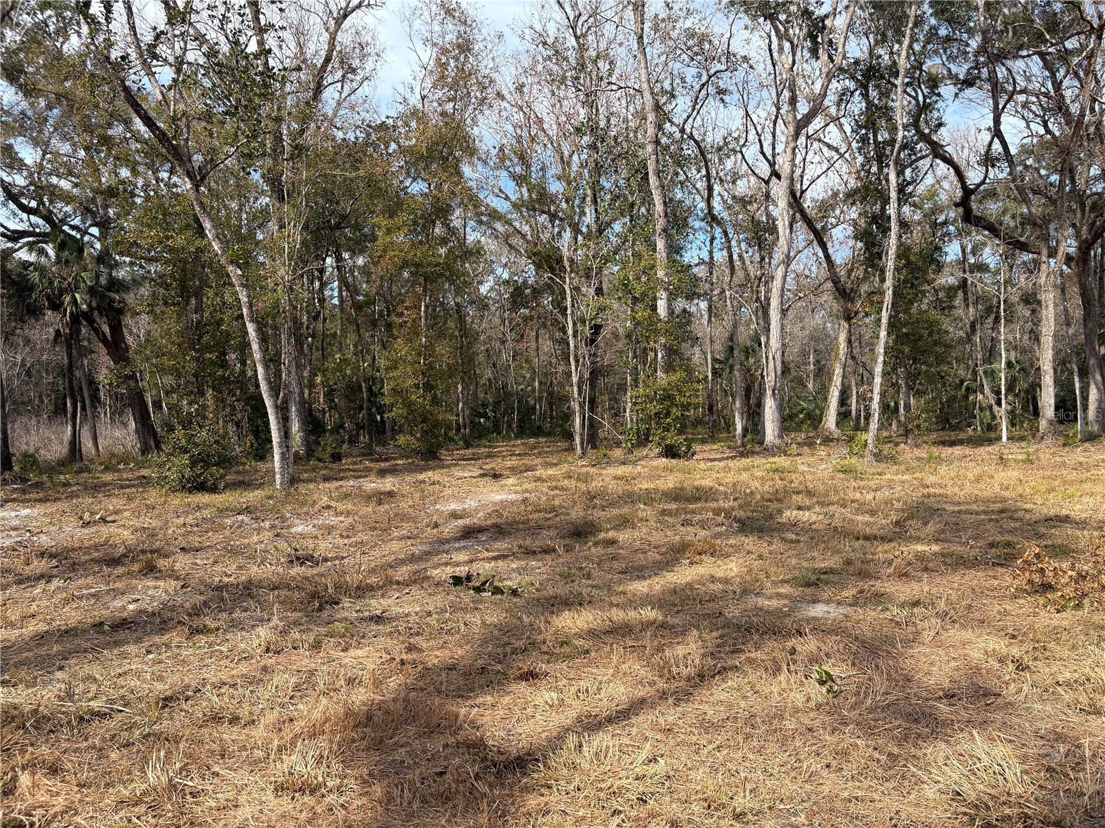 Lake Lindsey Road Brooksville FL 34601 TB8351684 image7