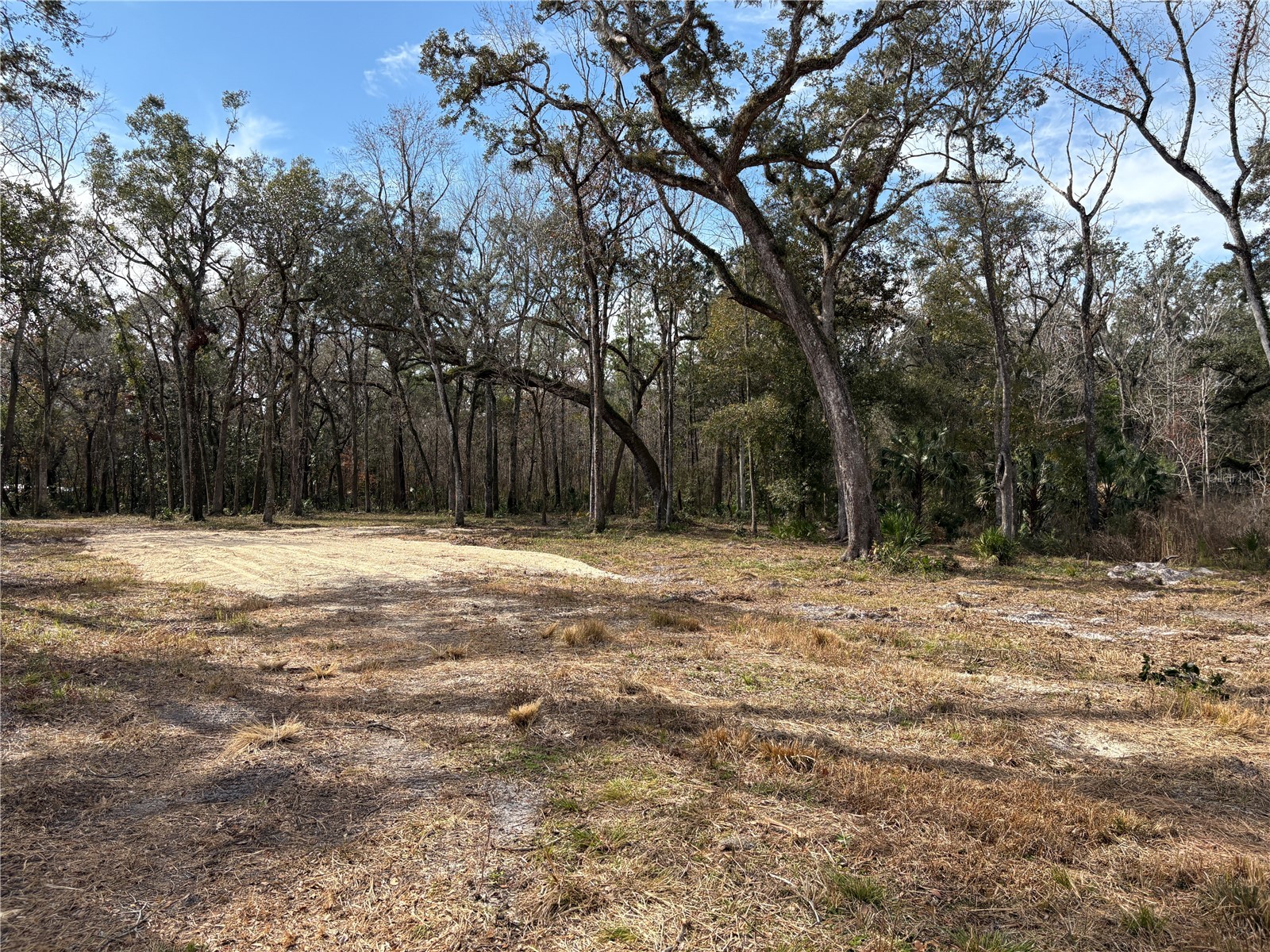Lake Lindsey Road Brooksville FL 34601 TB8351684 image9