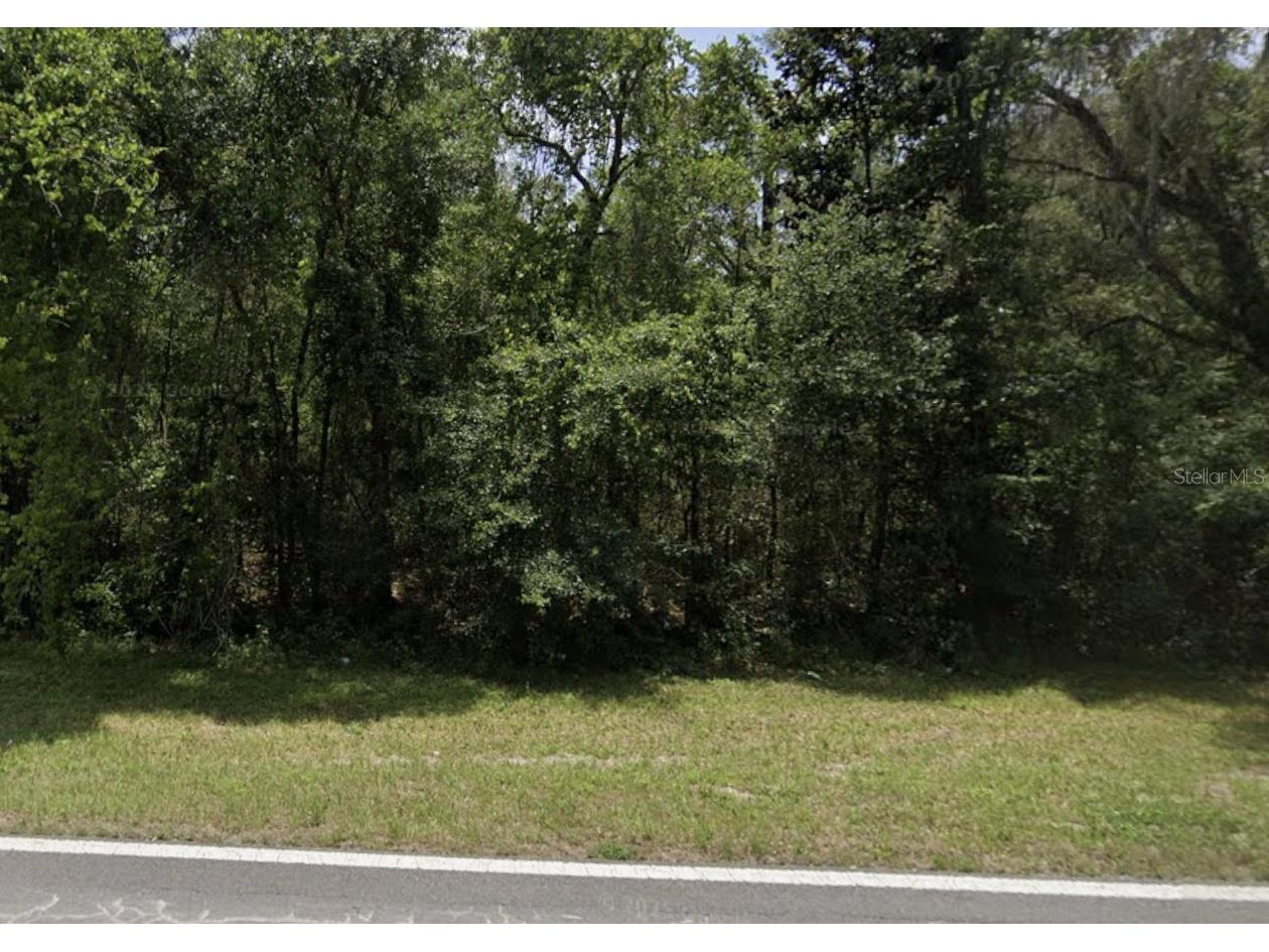Lake Lindsey Road Nobleton FL 34661 TB8503670 image1
