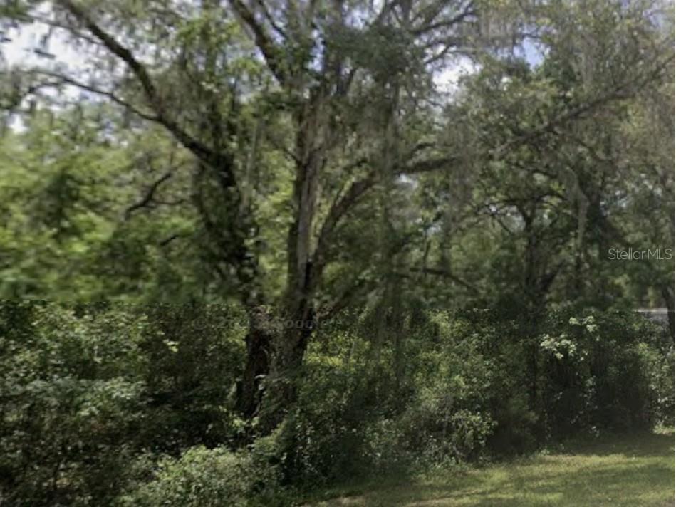 Lake Lindsey Road Nobleton FL 34661 TB8503670 image2