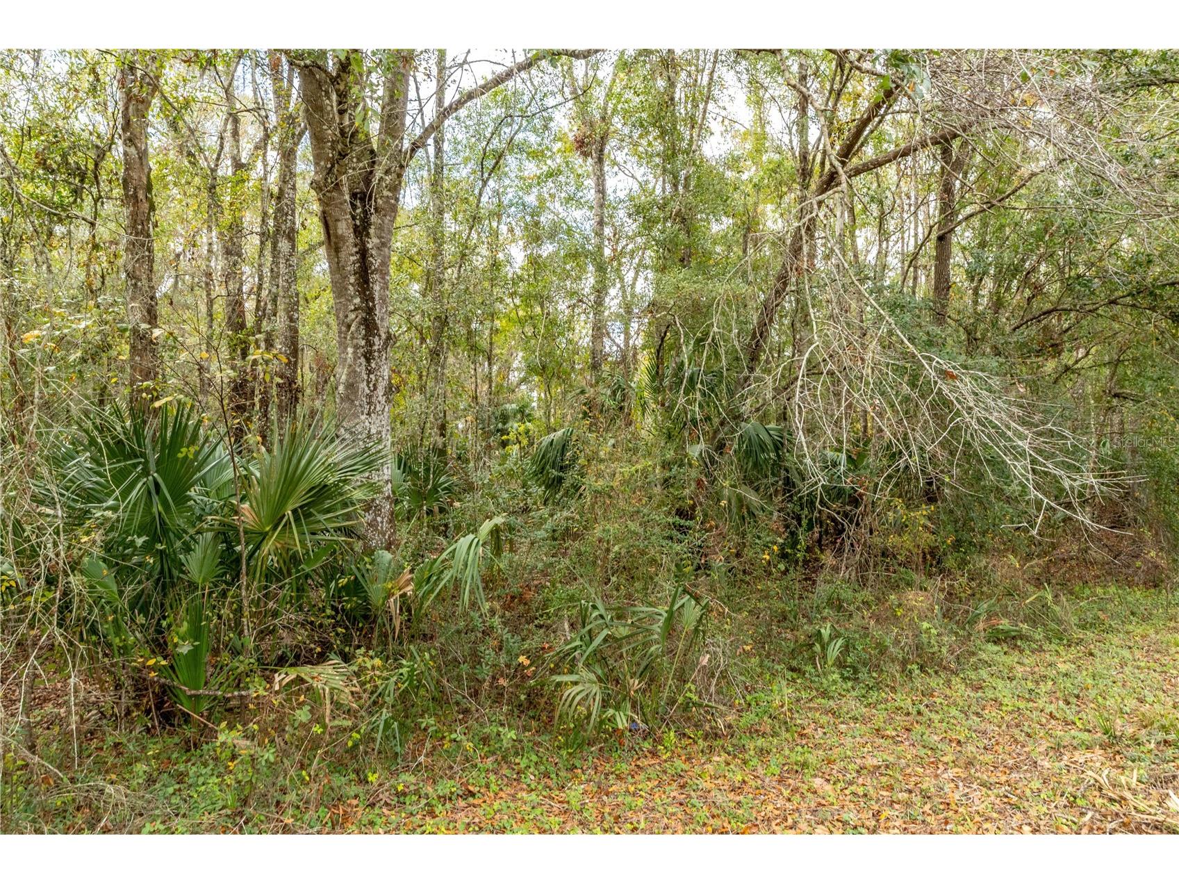 Lake Lindsey Tract 2 Road Brooksville FL 34601 W7884394 image1