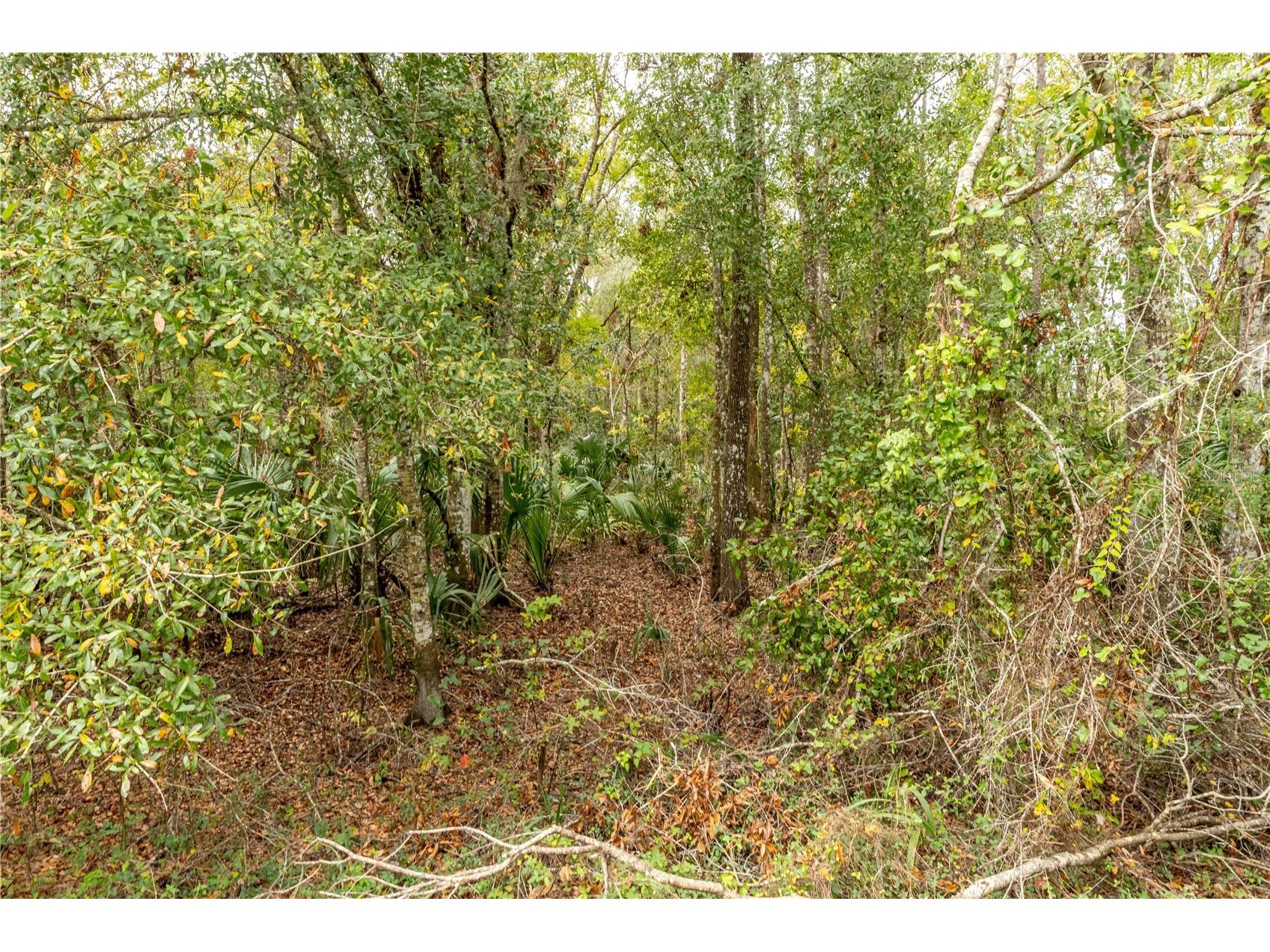 Lake Lindsey Tract 2 Road Brooksville FL 34601 W7884394 image10