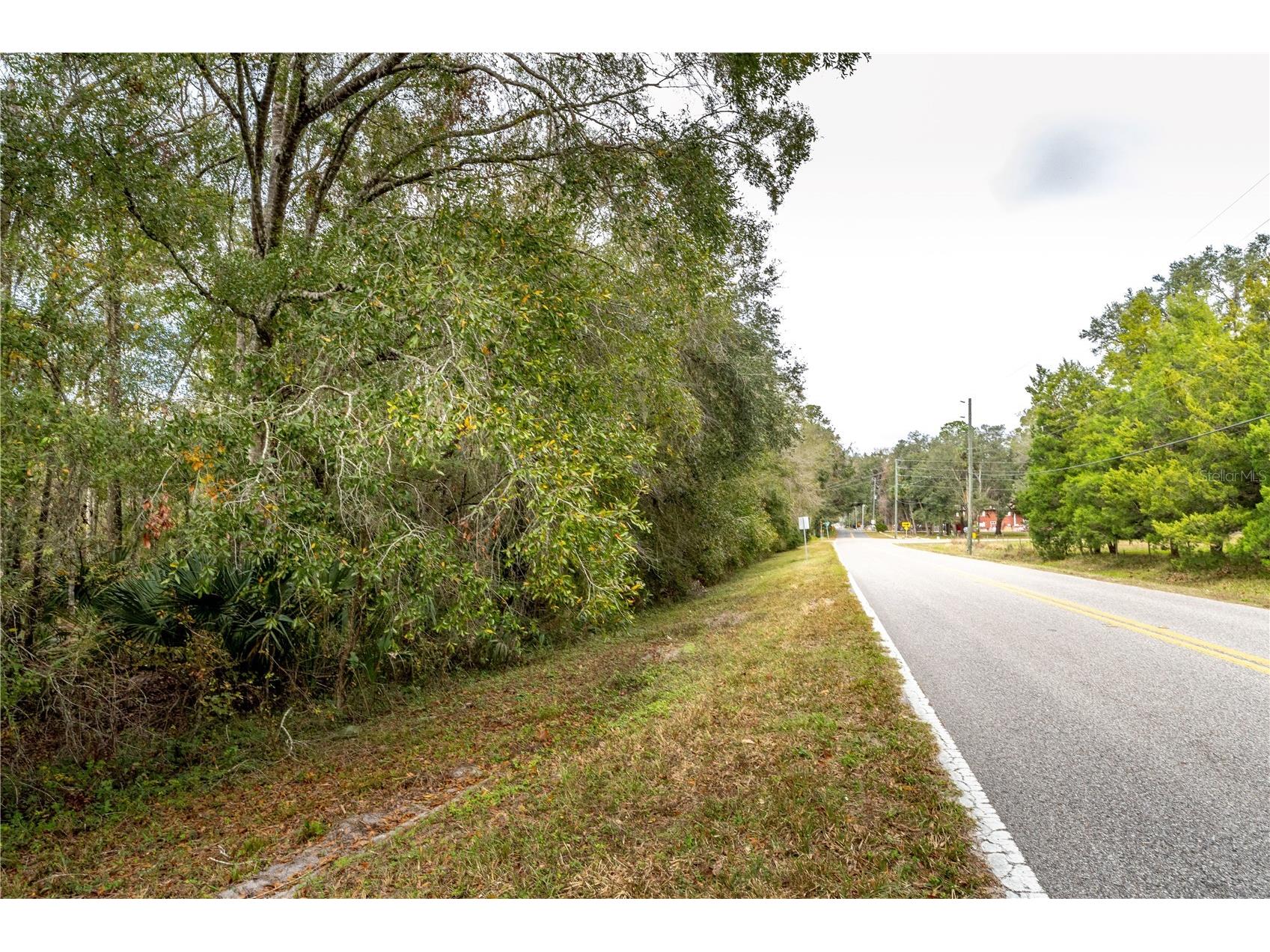 Lake Lindsey Tract 2 Road Brooksville FL 34601 W7884394 image2