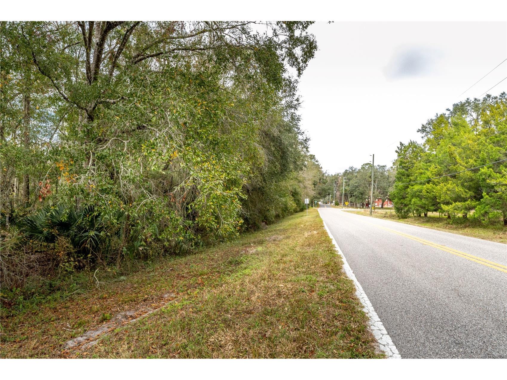 Lake Lindsey Tract 2 Road Brooksville FL 34601 W7884394 image3
