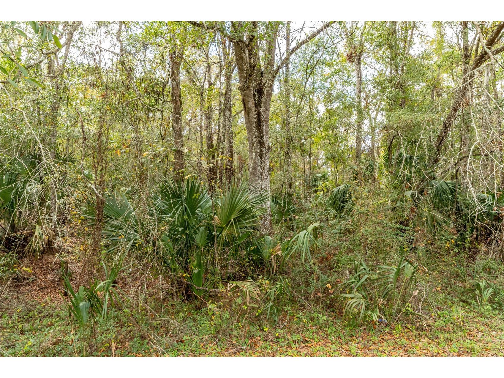 Lake Lindsey Tract 2 Road Brooksville FL 34601 W7884394 image8